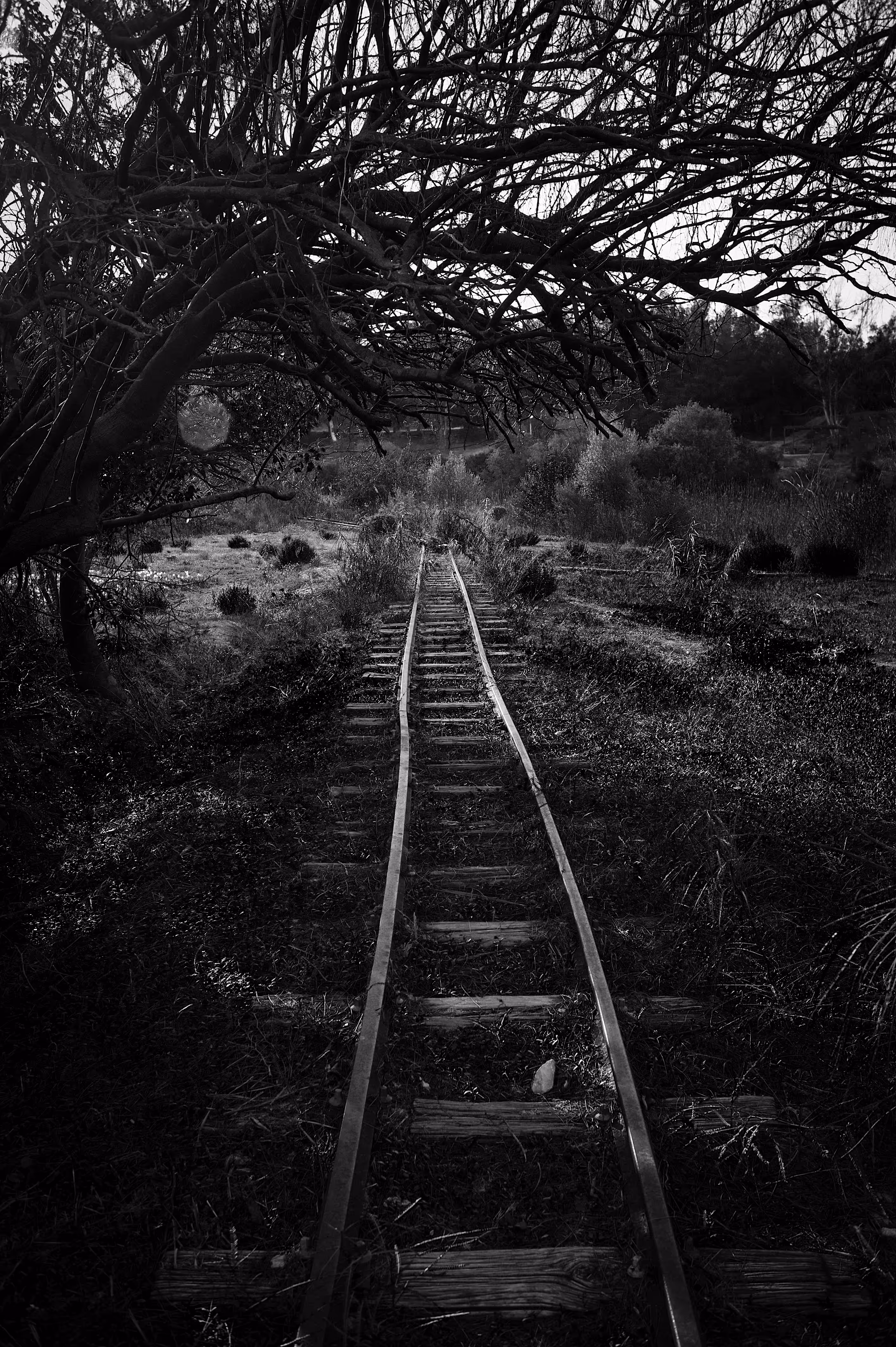 Train to Nowhere