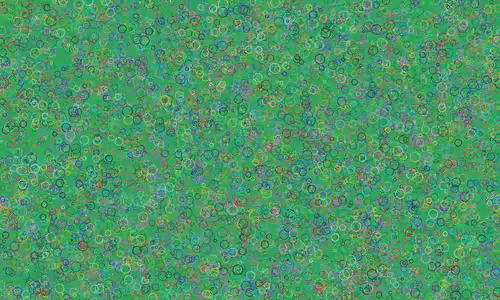 YangWong011