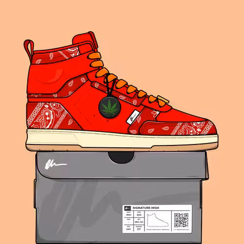 Signature Sneakers Highs #507