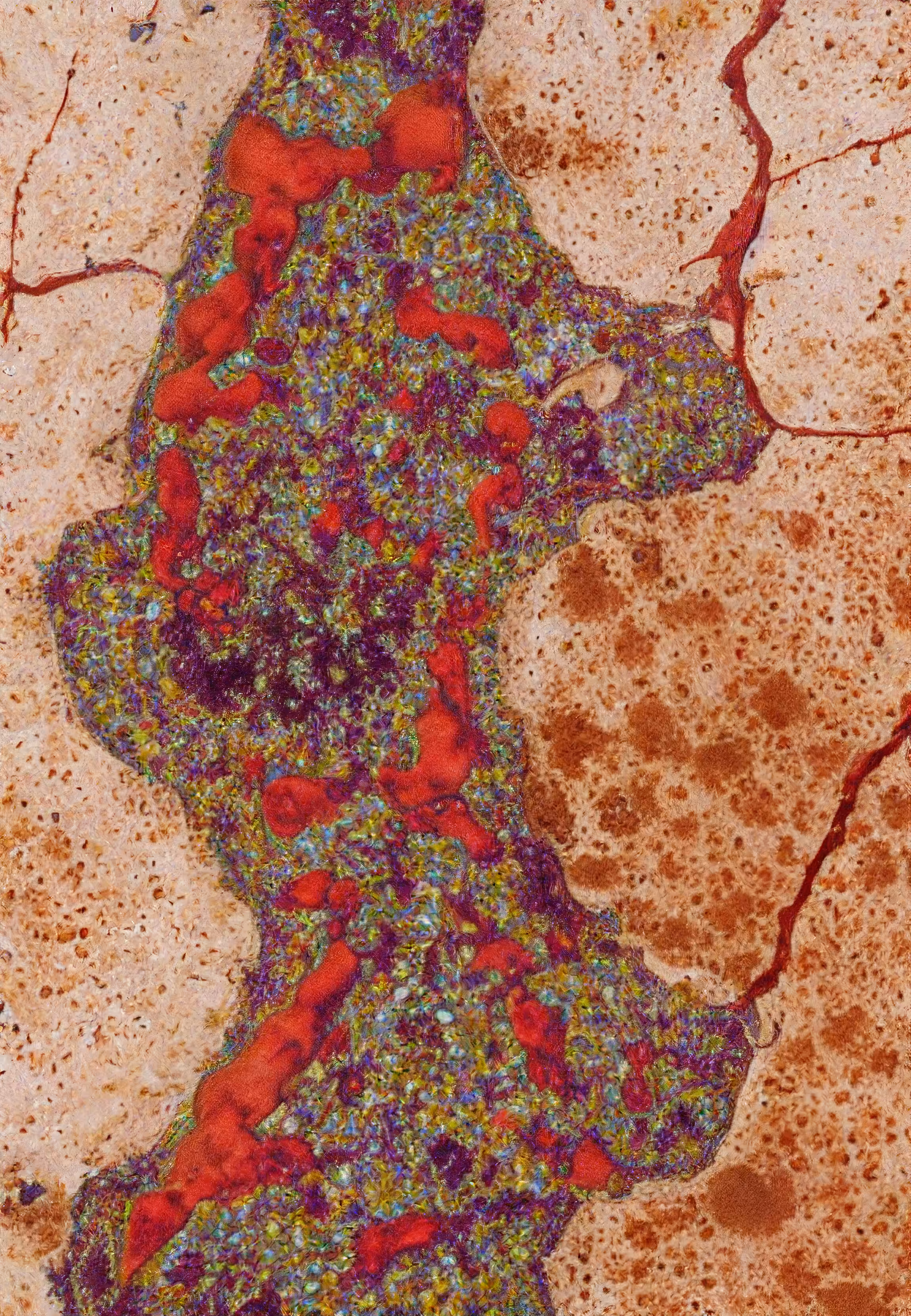 Histologia In Silico #282