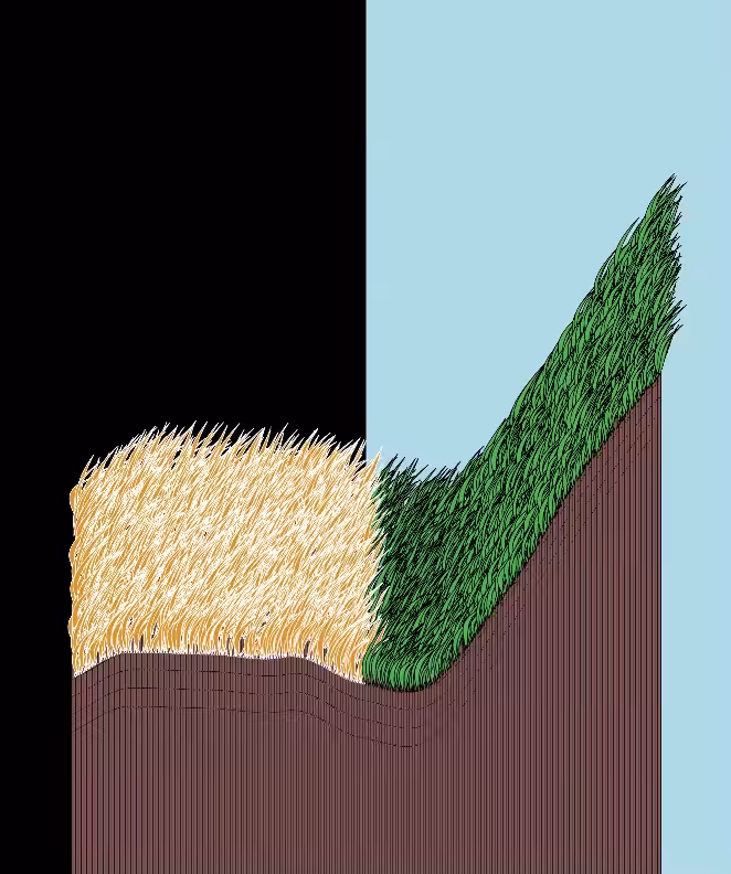 Rodeo posts: Simulation of grass burning