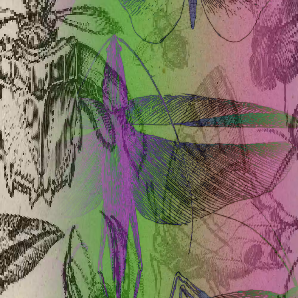 hash insects #8
