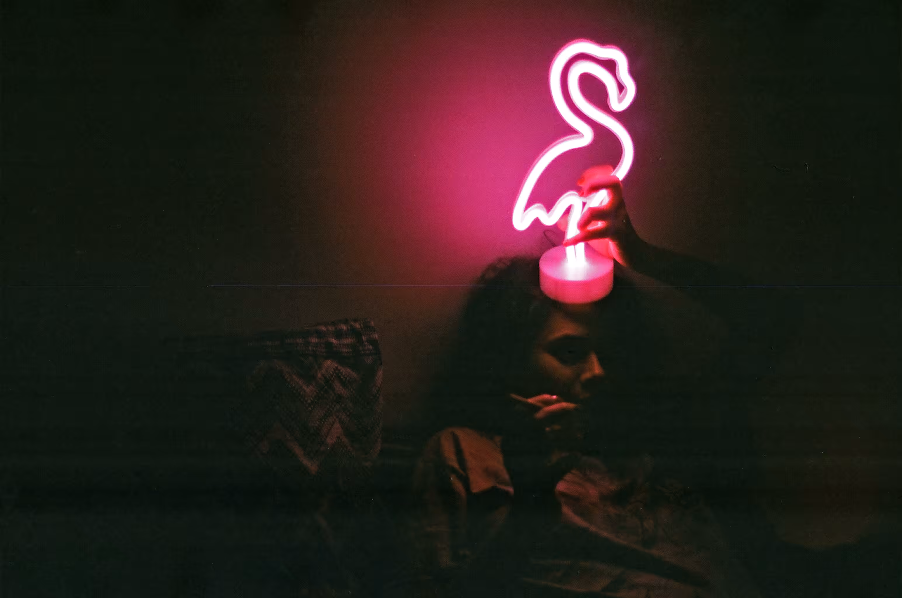pinkflamingos