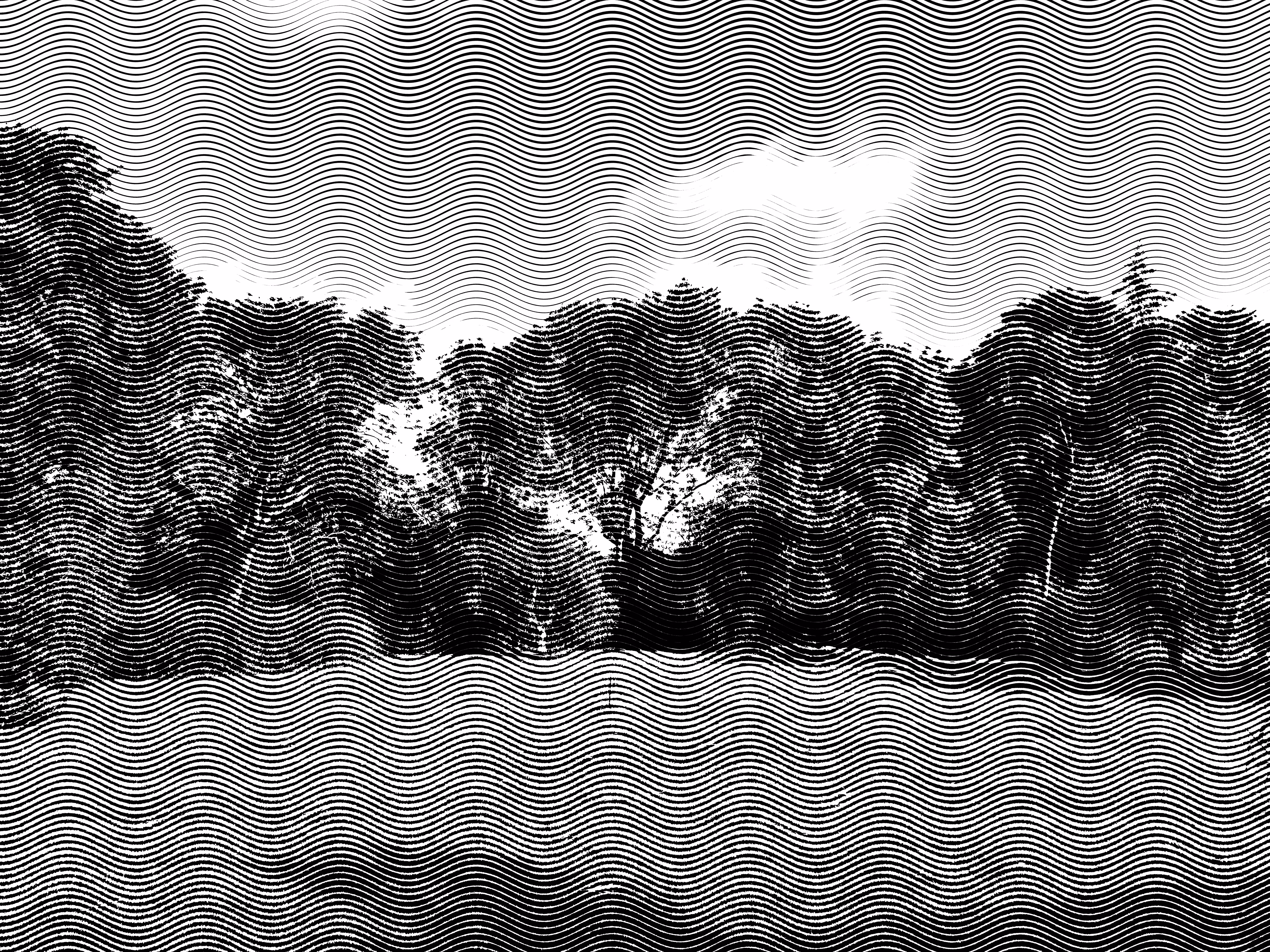 Grassland