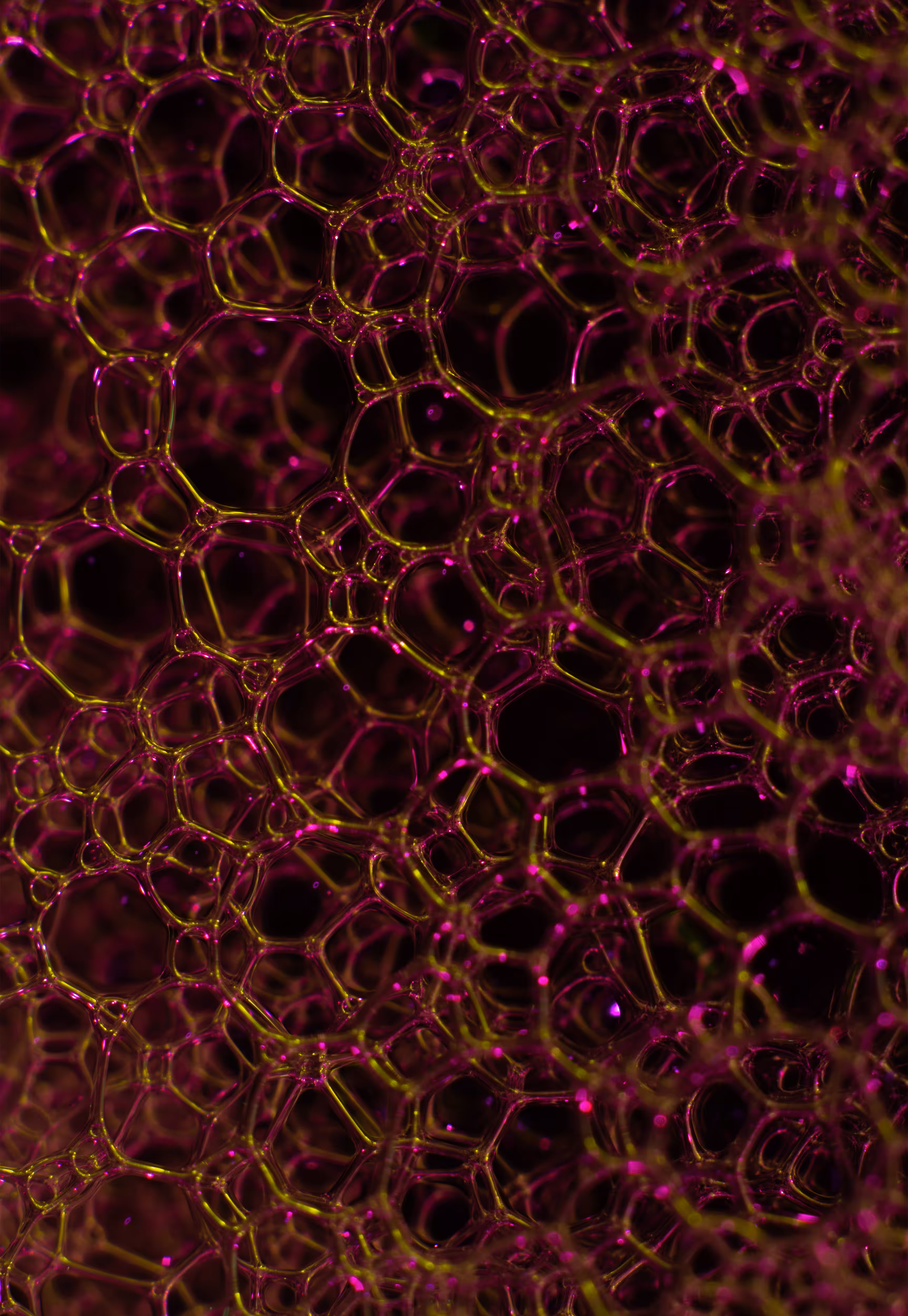 Abstract World of Soap Bubbles: #100 Bubbles