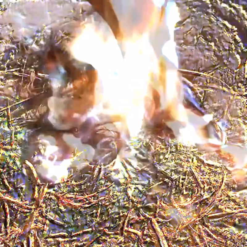 Teleport Loopr #70