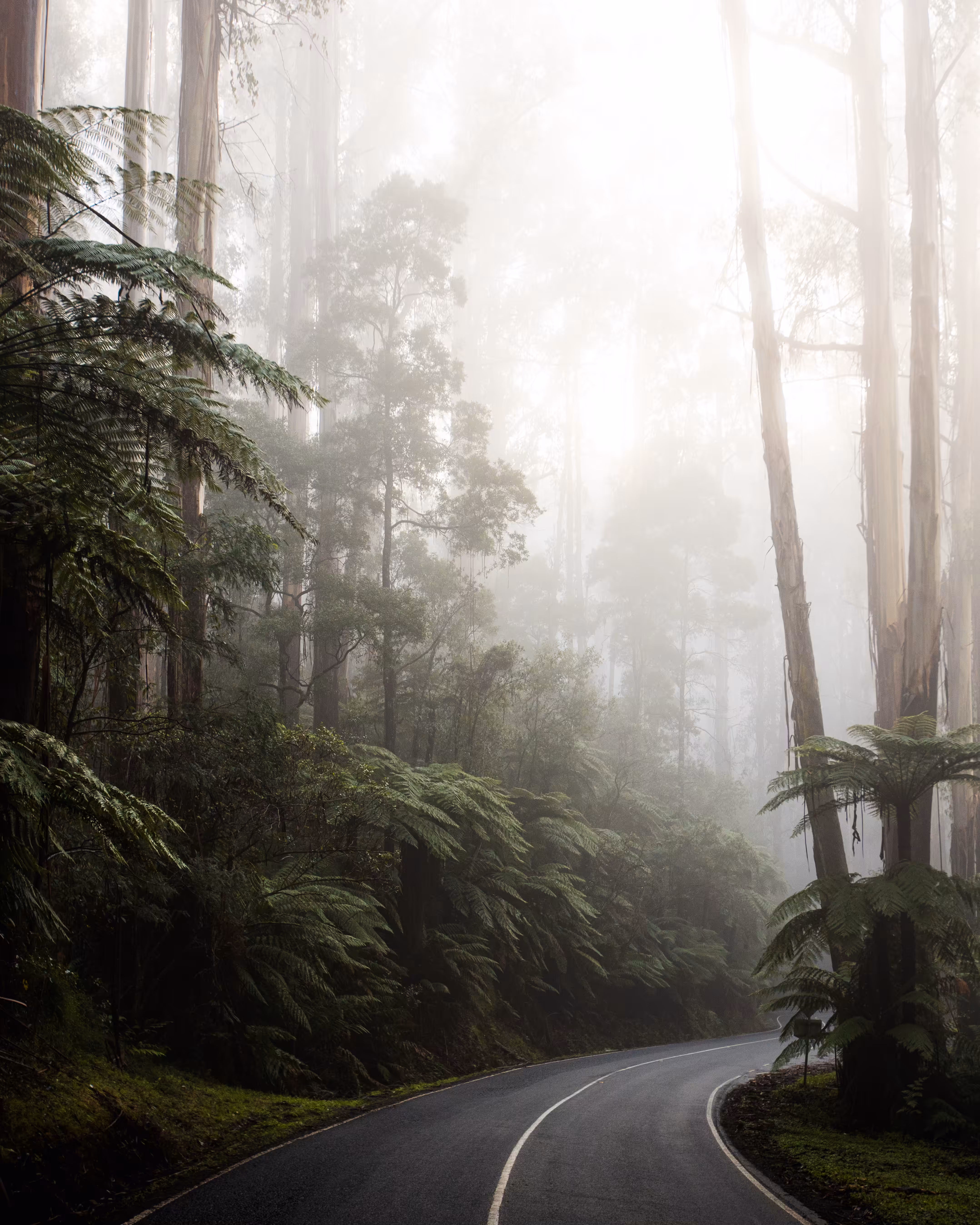 Low Cloud #6