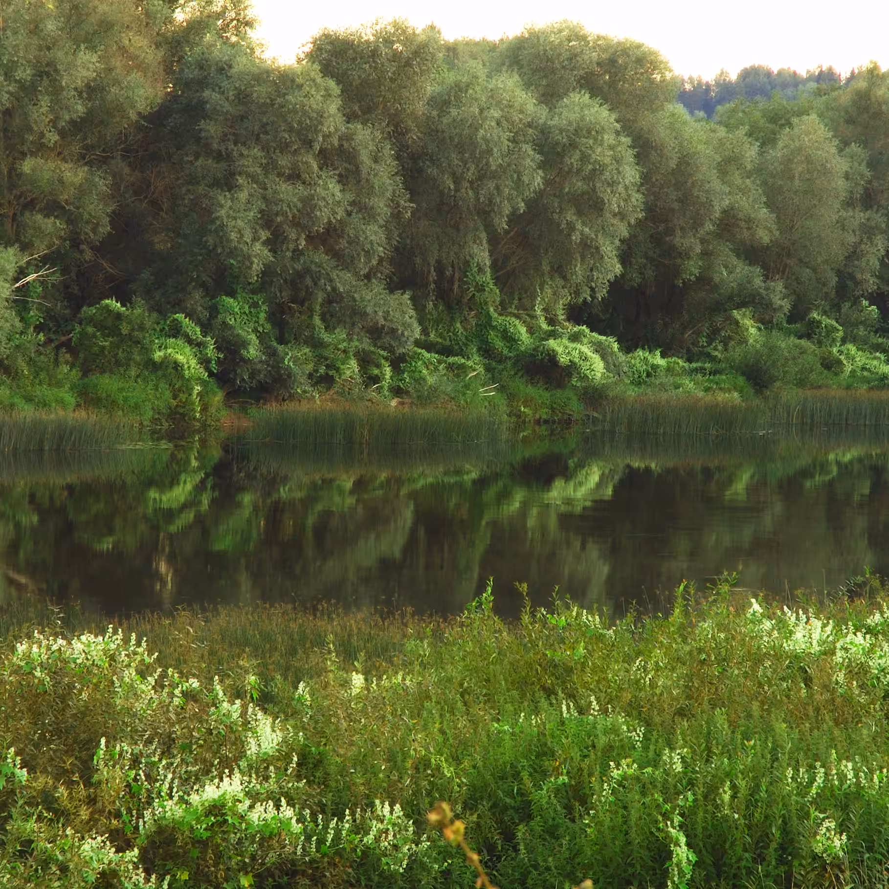 Green river