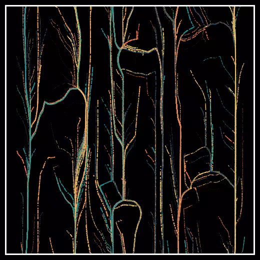 Observers' decline #42