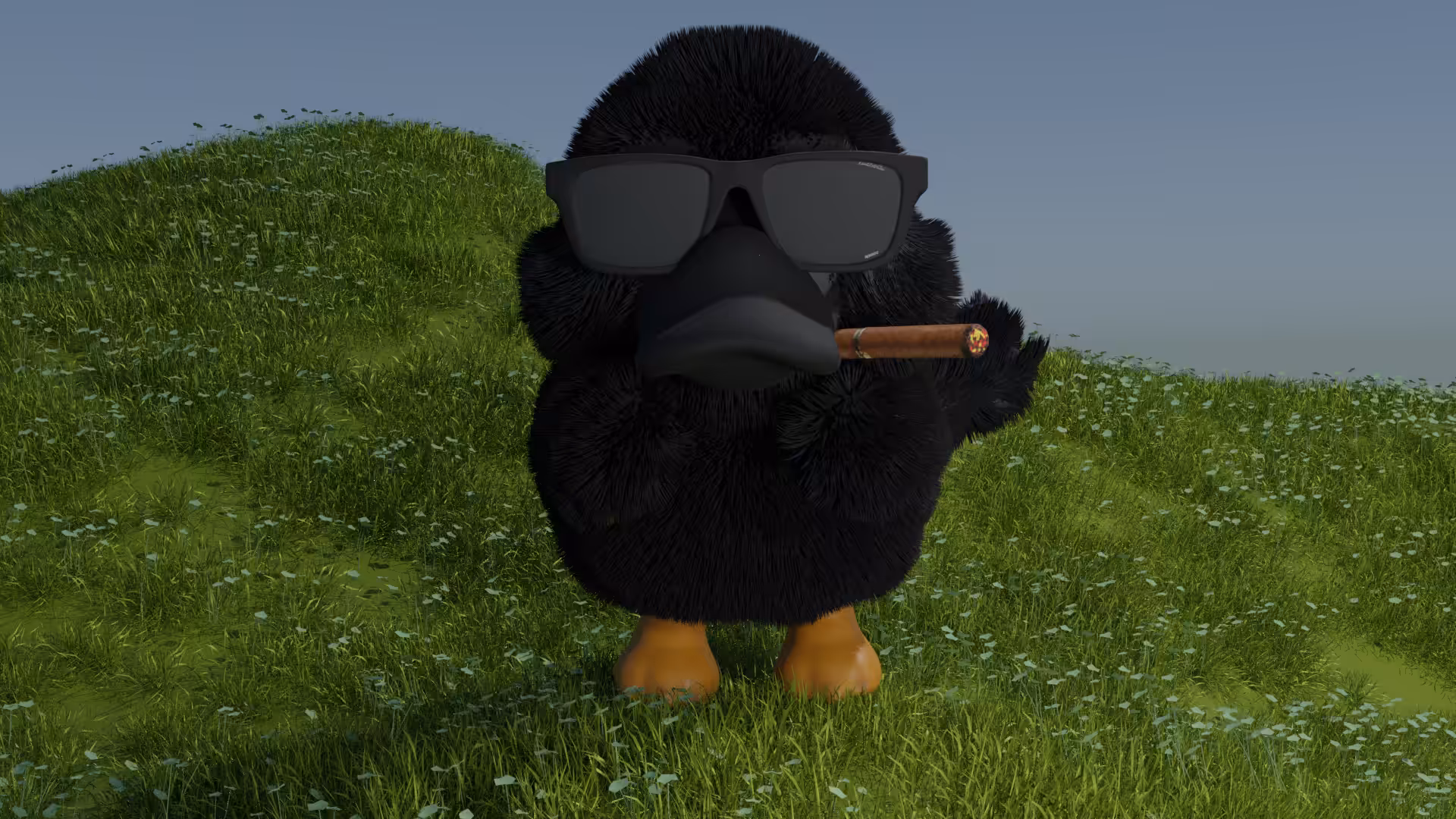 #004 Fluffy Duck
