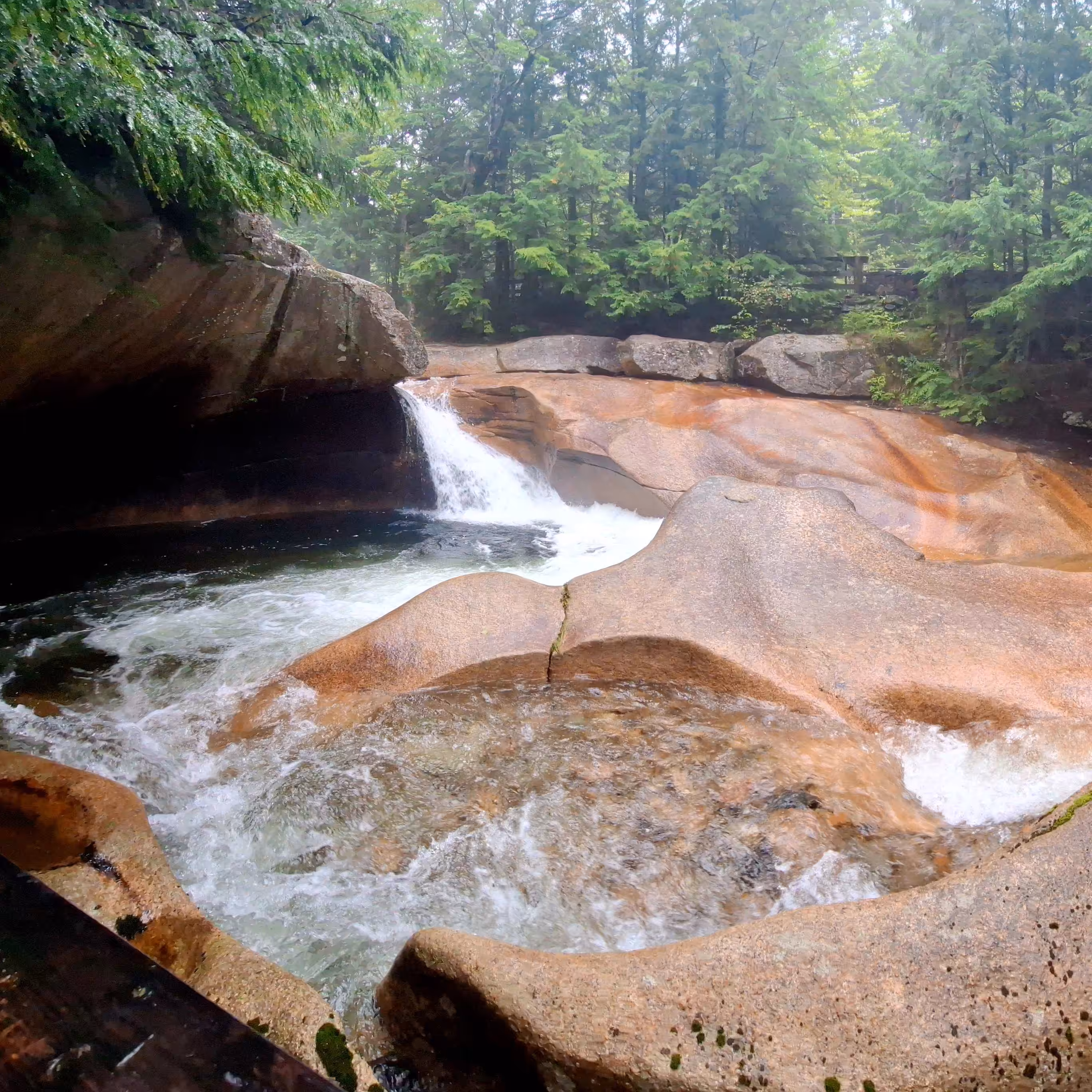The Basin