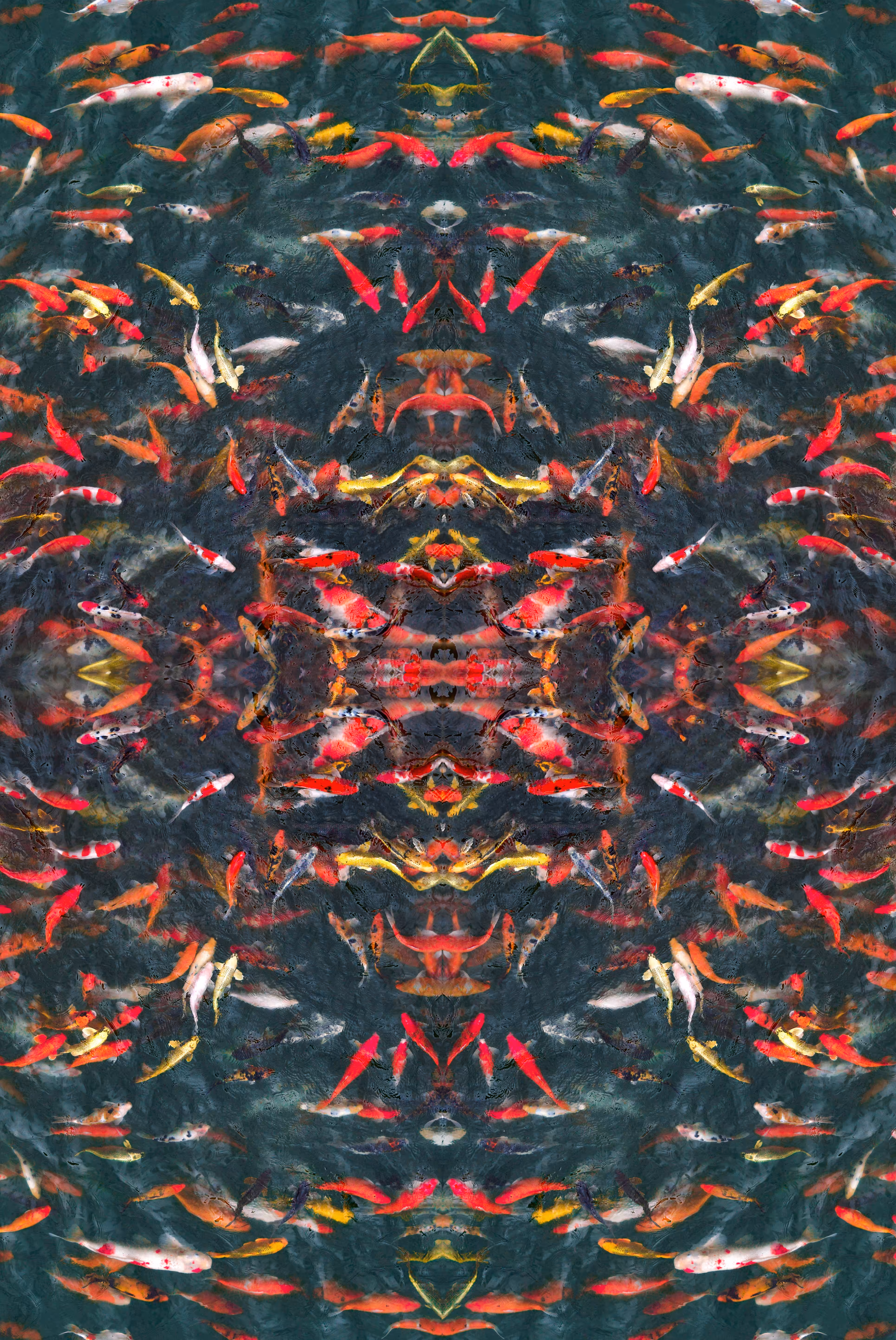 𝗔𝗯𝘀𝘁𝗿𝗮𝗰𝘁 Koi Carp Fish - Symetry Art 3
