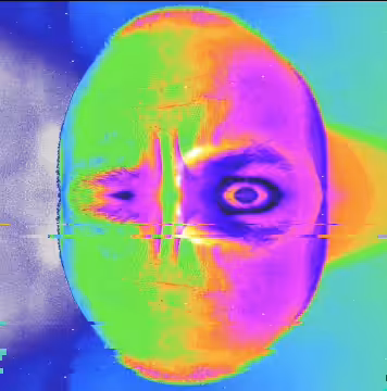 Artist's Floating Head Glitch