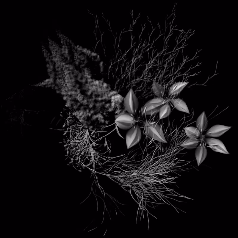Botanical Ghosts #237