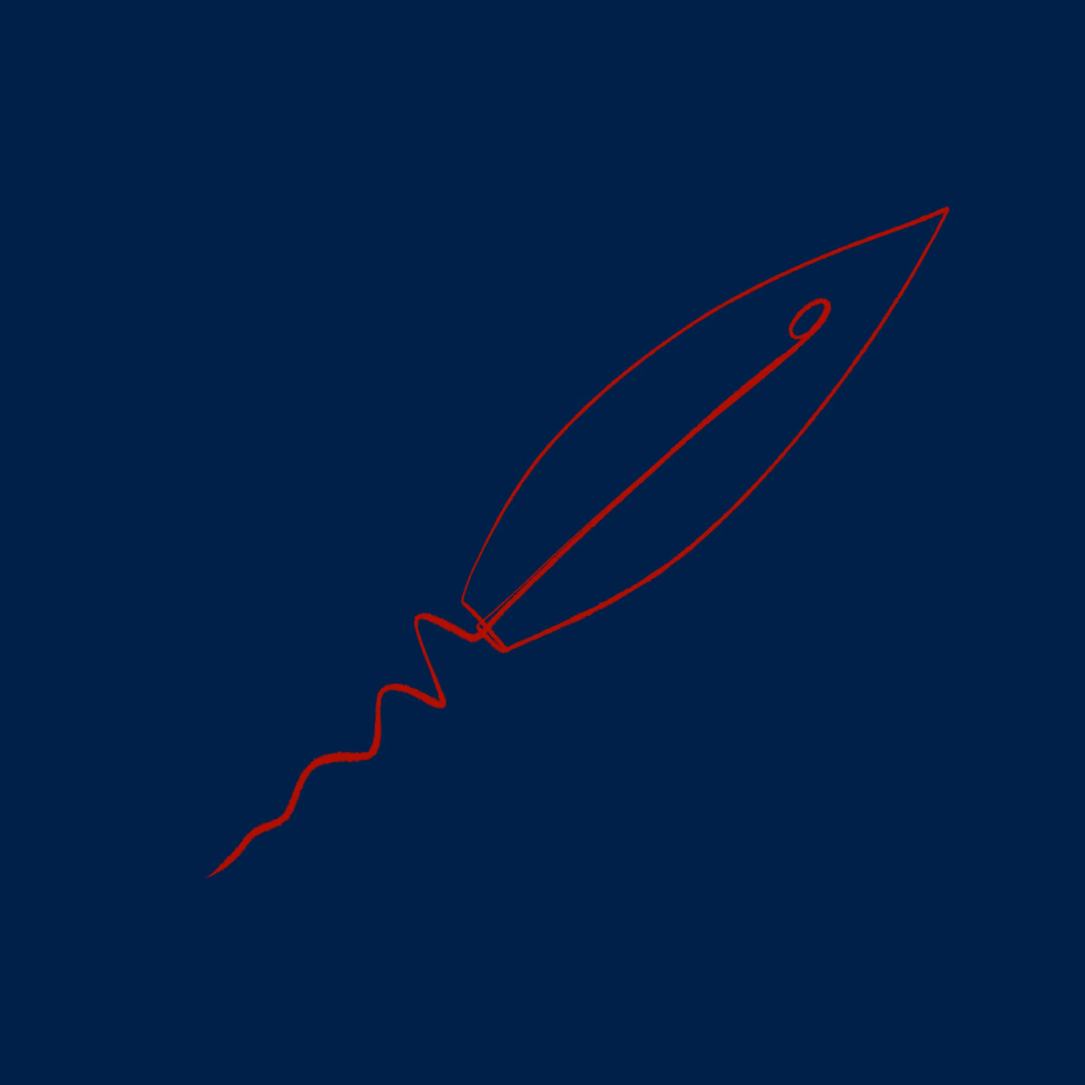 Rocket