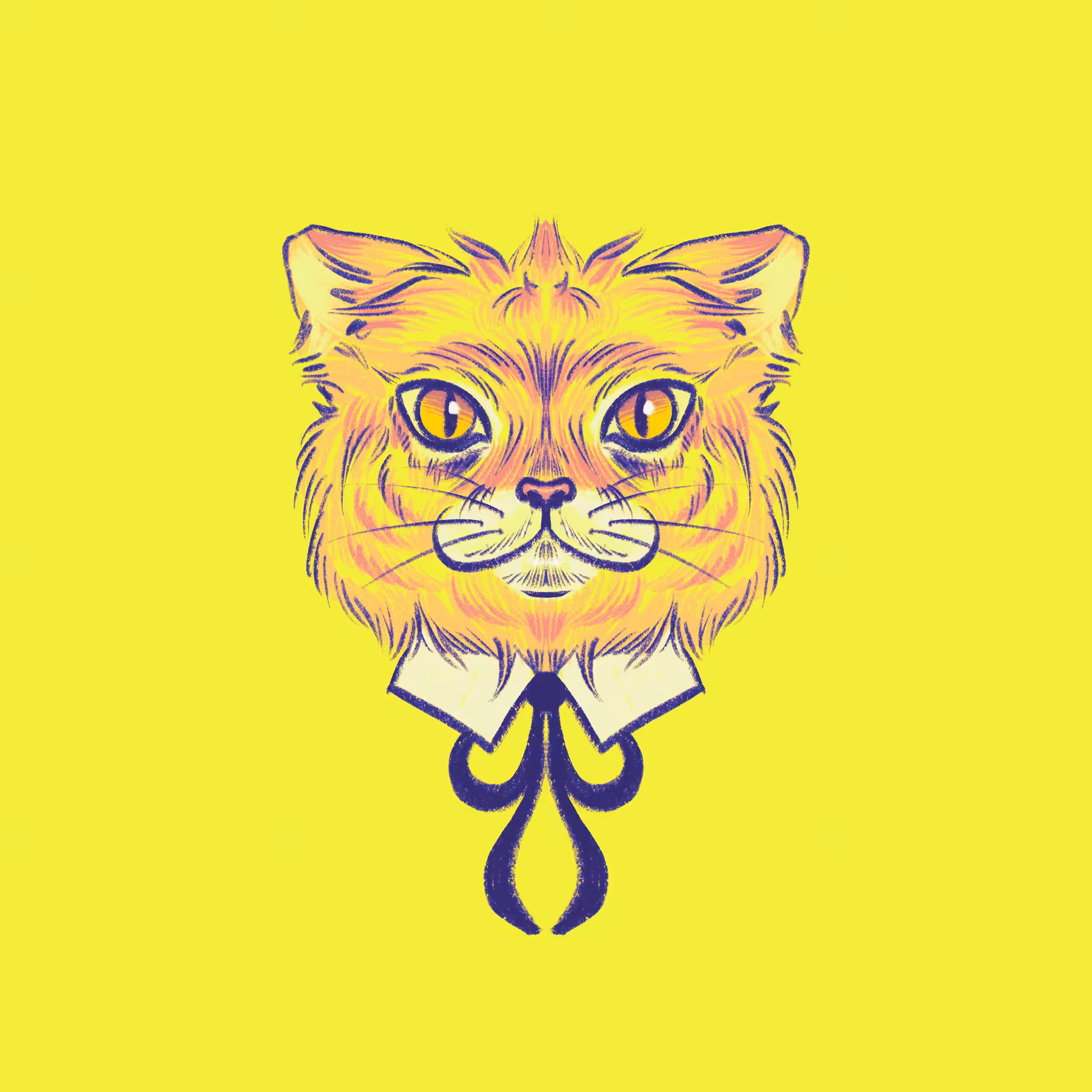 Cat 001