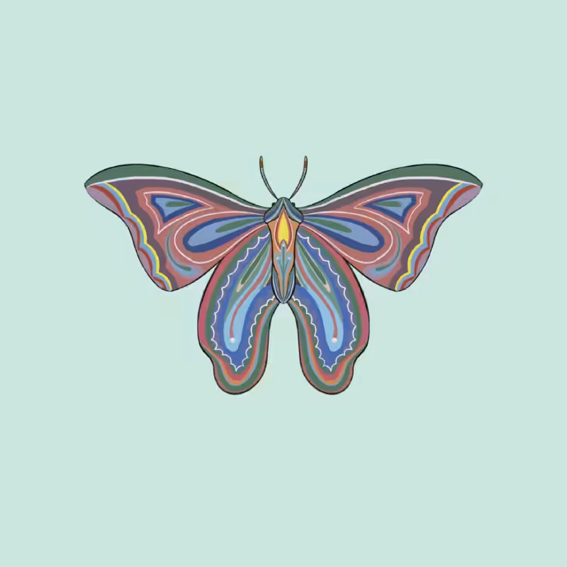 The Moth Experiment 2.0 P2 #27