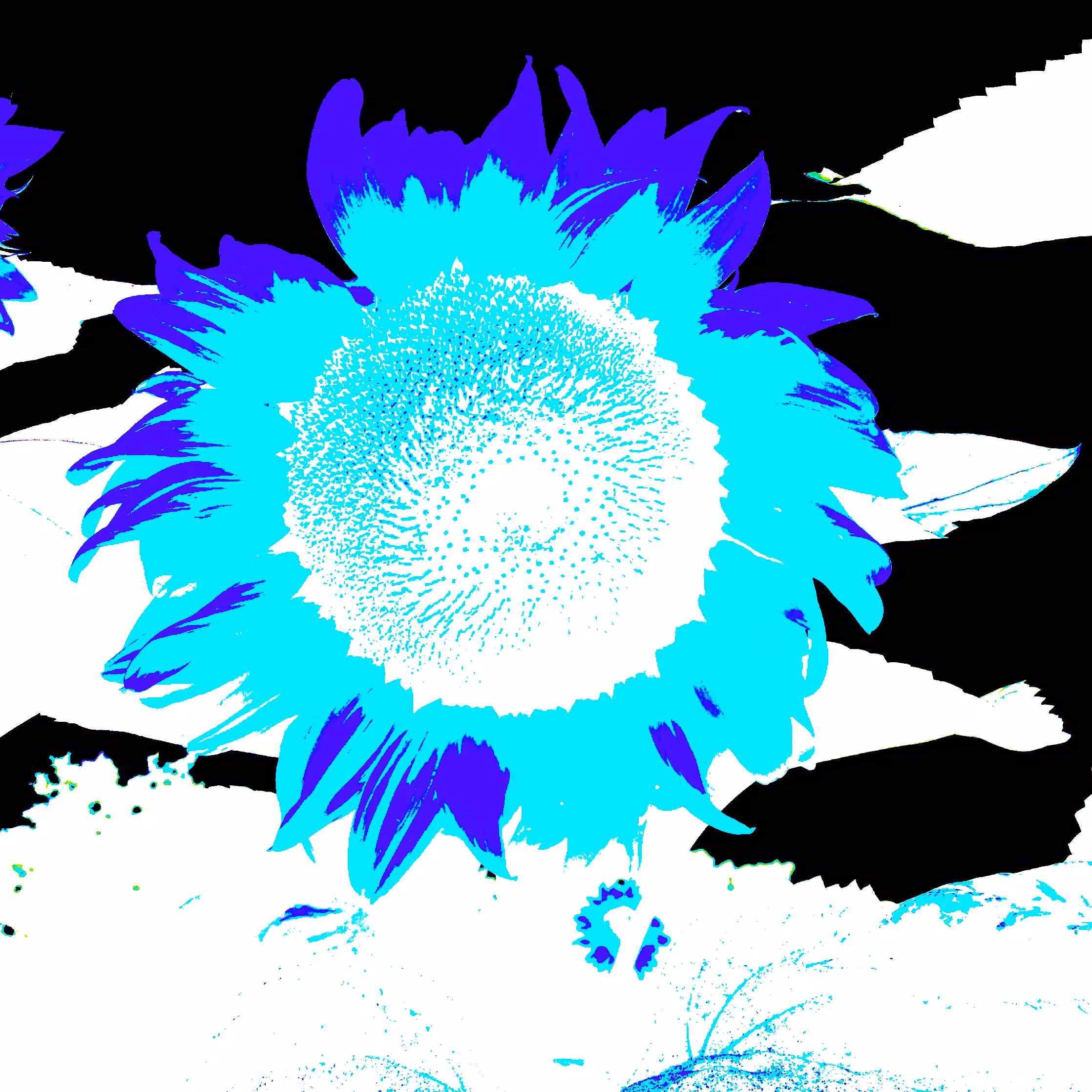Trip 12