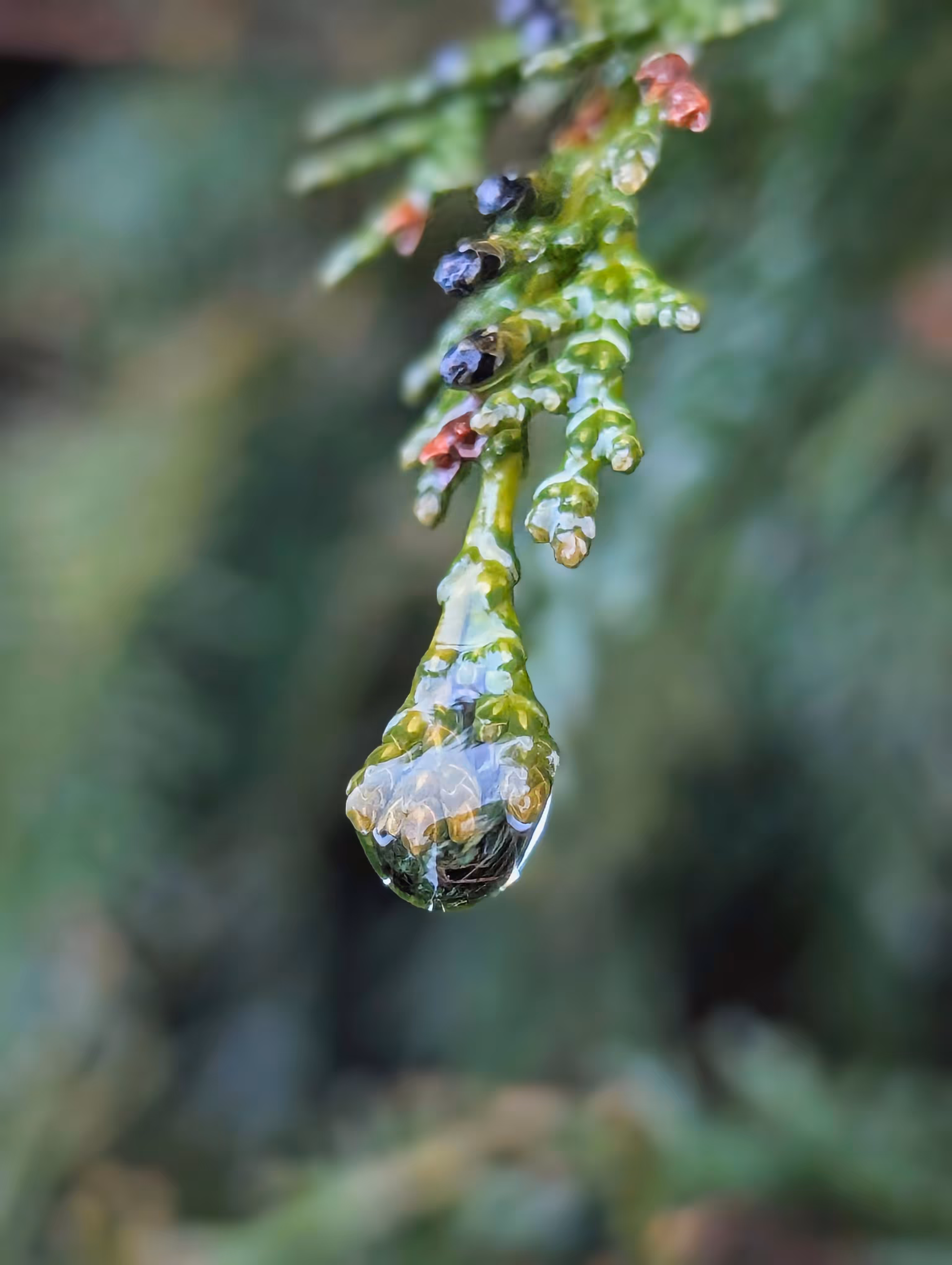Luke_0x1 Photography : Time after rain