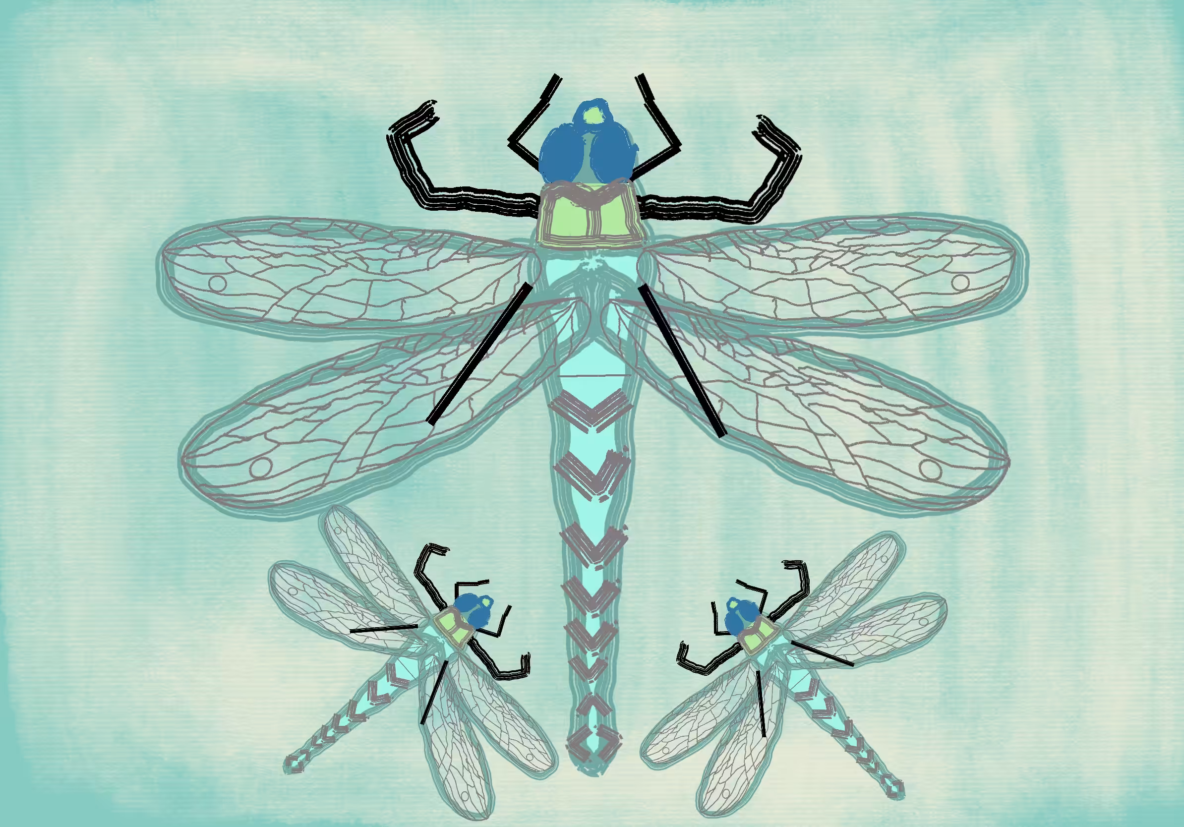 GM! editions: GM! #51- friday dragonflys