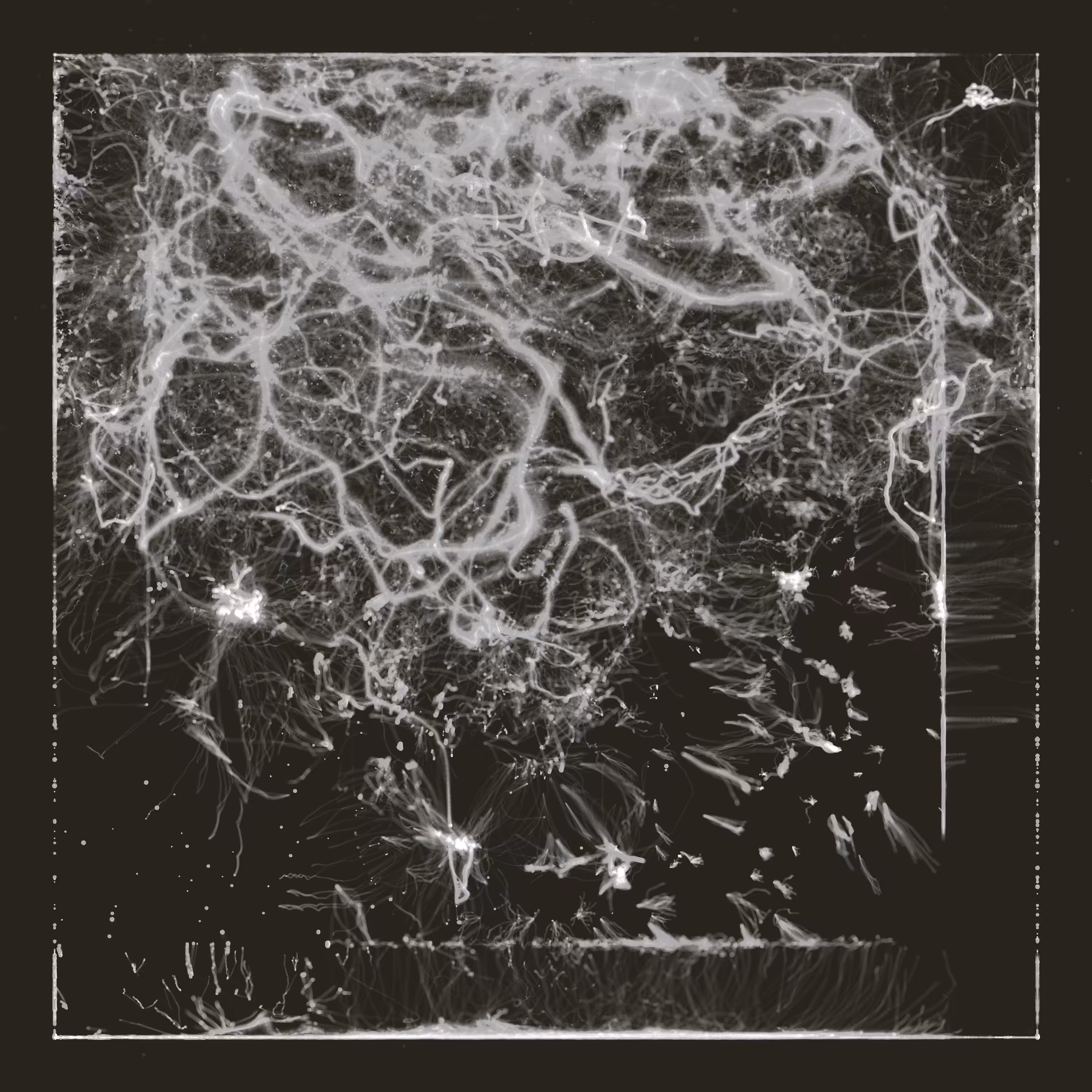 Rodeo posts: Echos, I