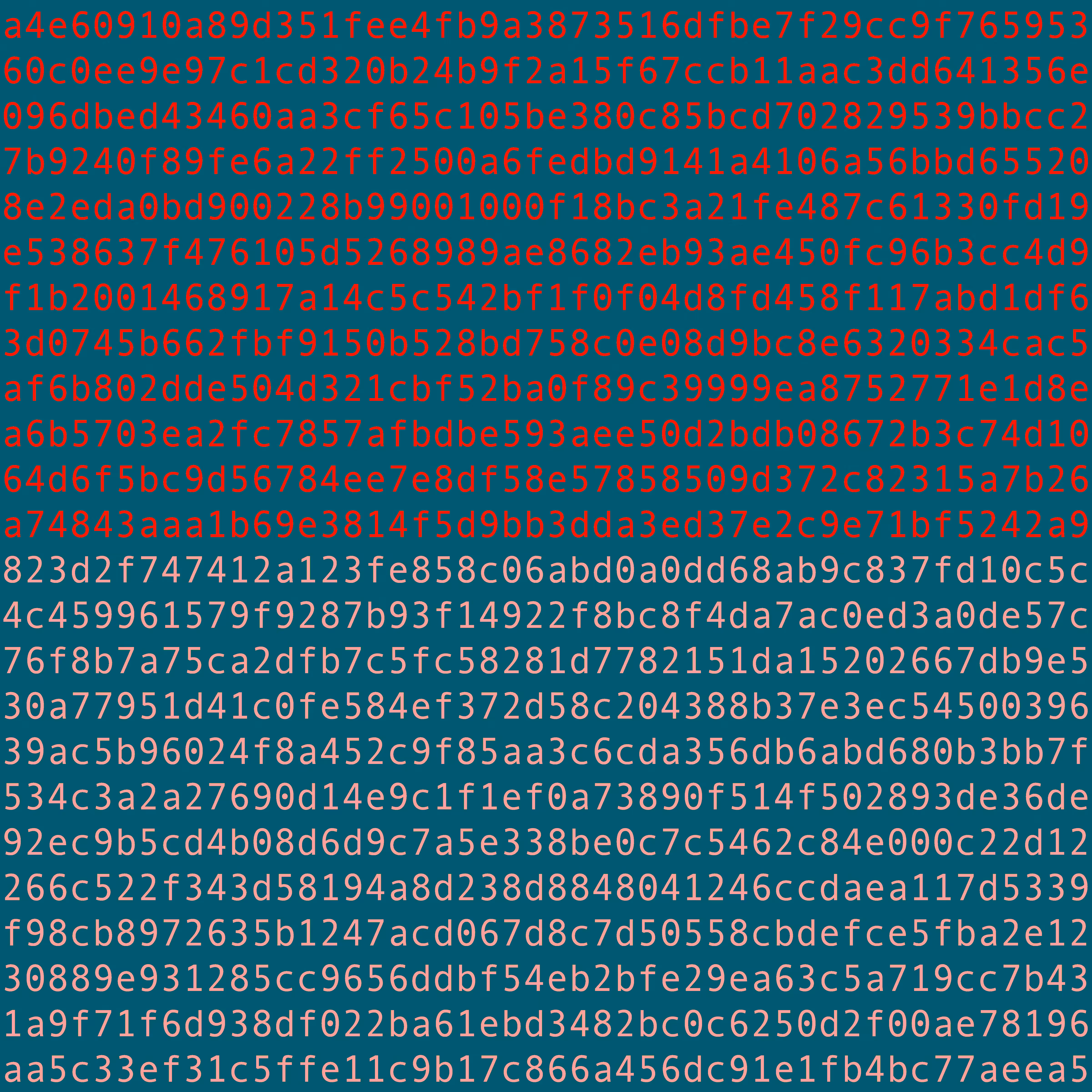 1111 #0137