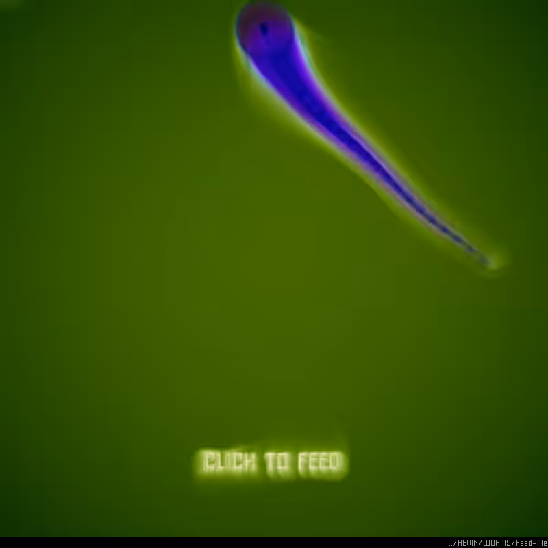 WORMS / Feed Me #37