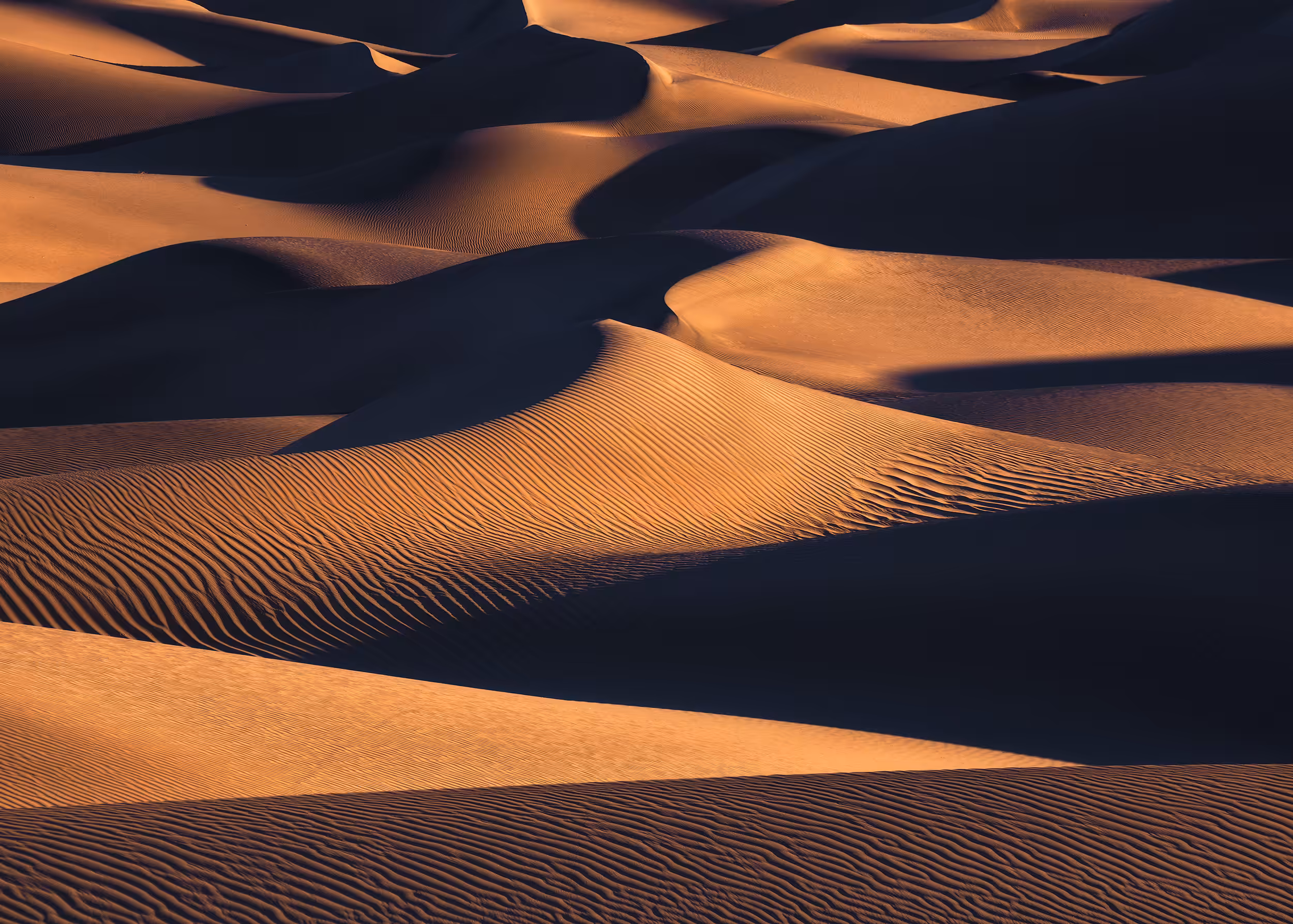 Mojave Winds #16 - Shadowdance