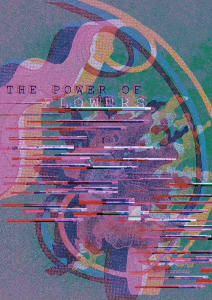 the power of flowers
