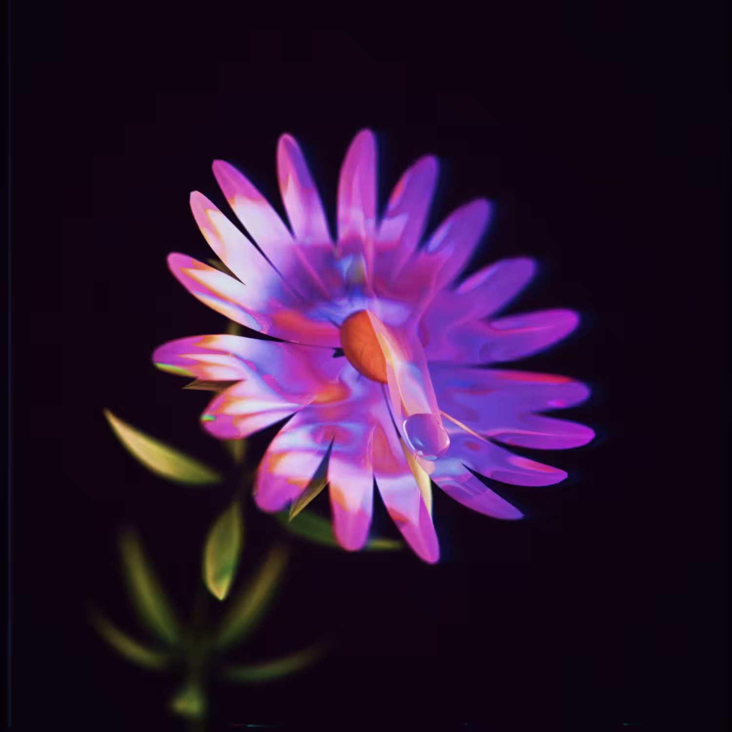 The Lucid Aster