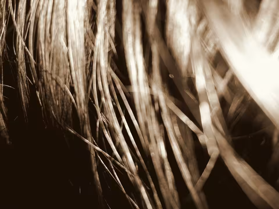 Parts of Me