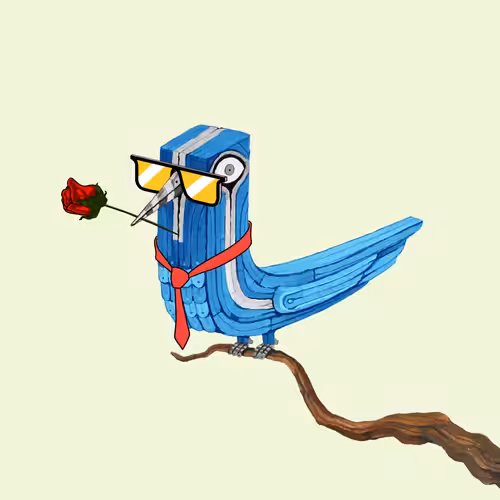 Bolbol, The Bird 008