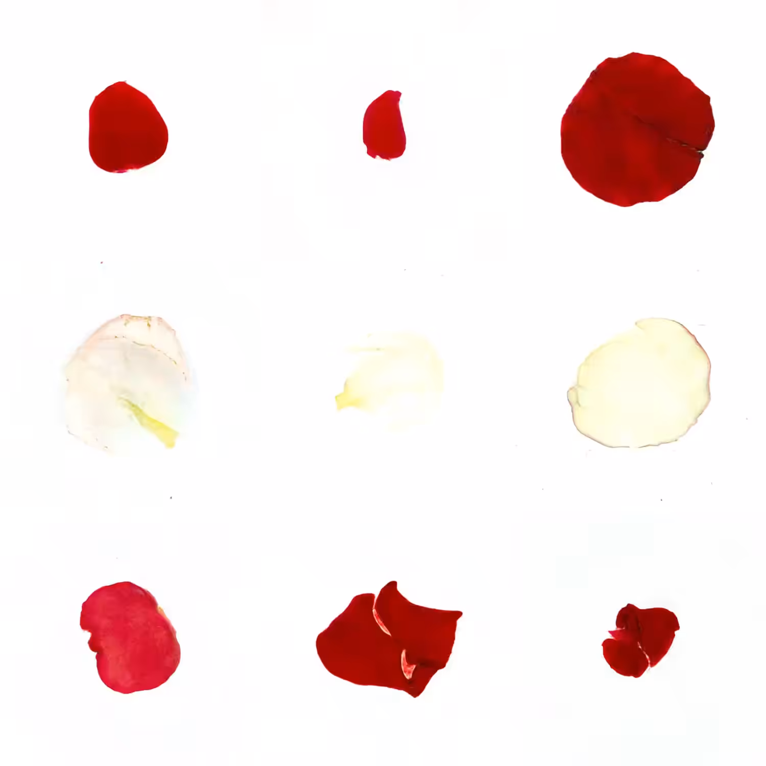 Infinite Petals 3x3#3375