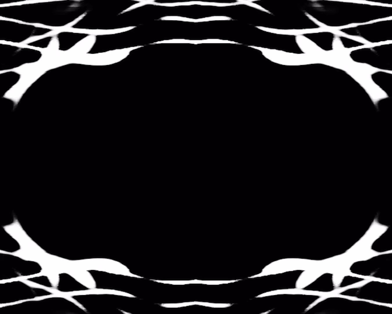 Video Feedback Studies II