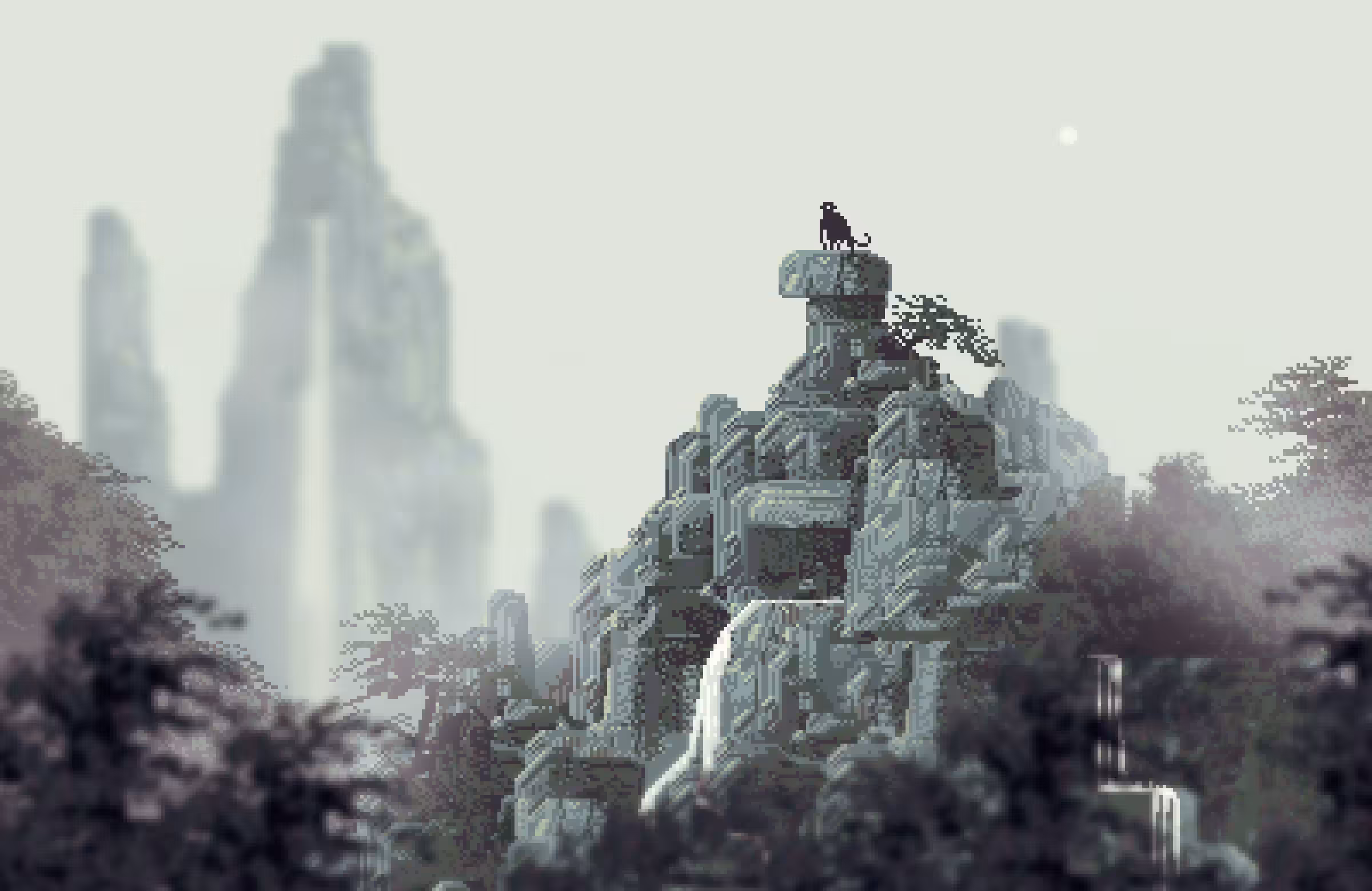 The monkey on the rocky hill
