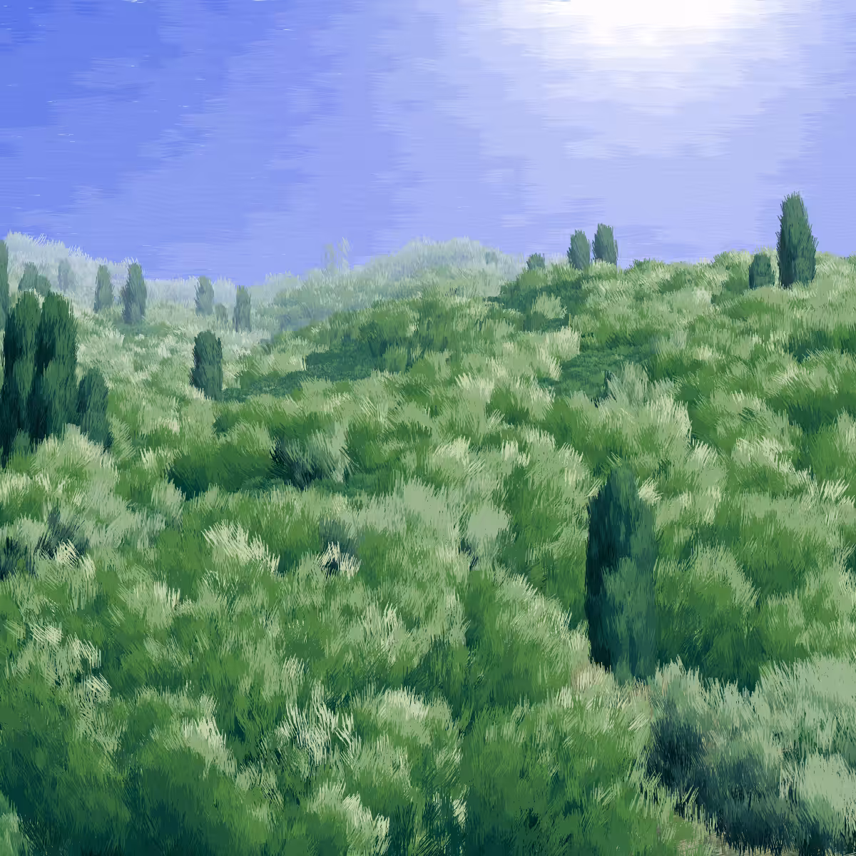 Provence #415