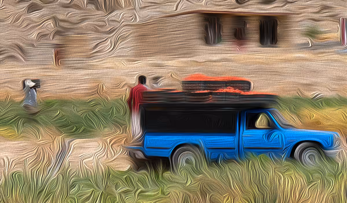 Farm#7