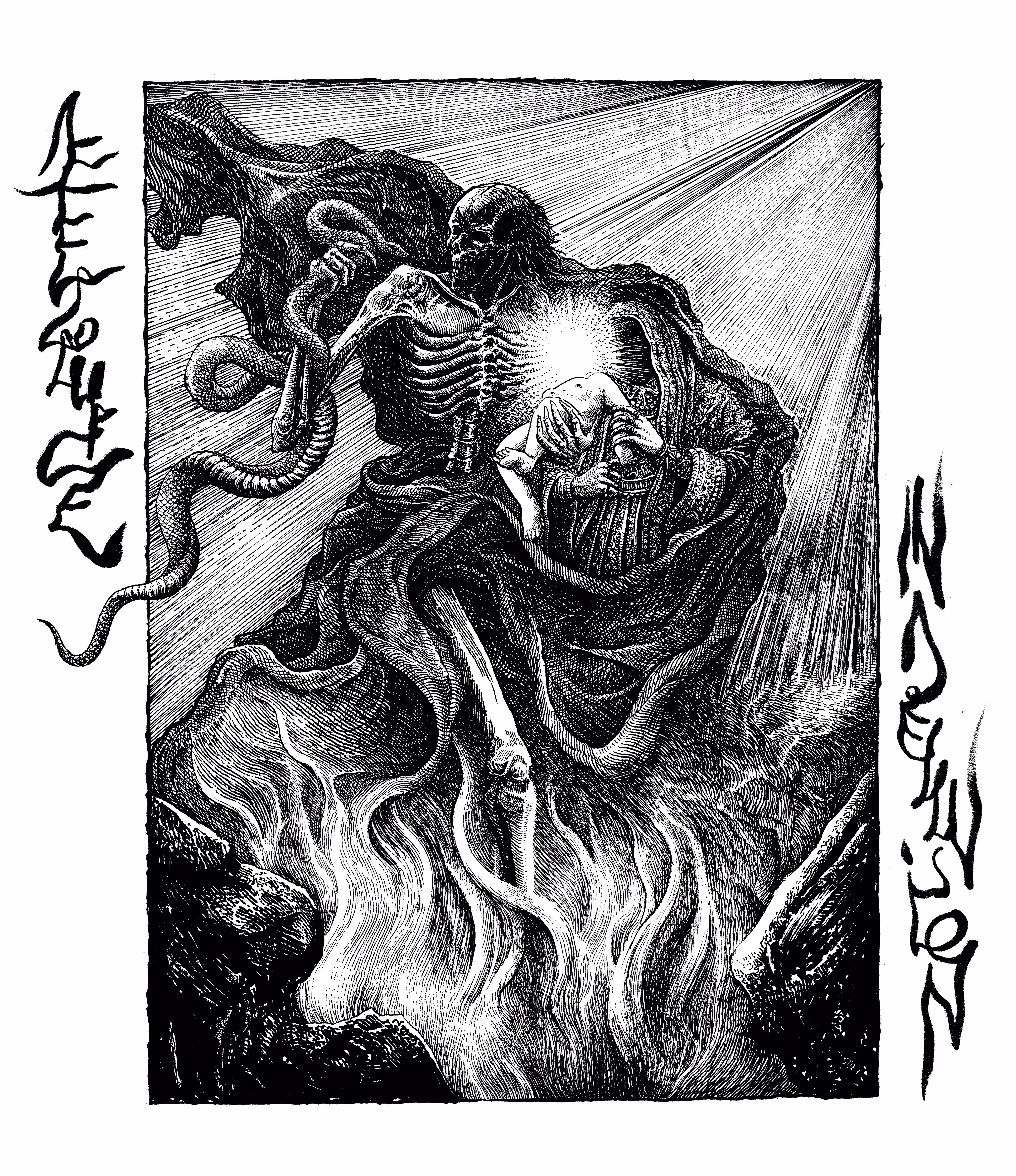XII - 2V: MFAXII - XII - 2V