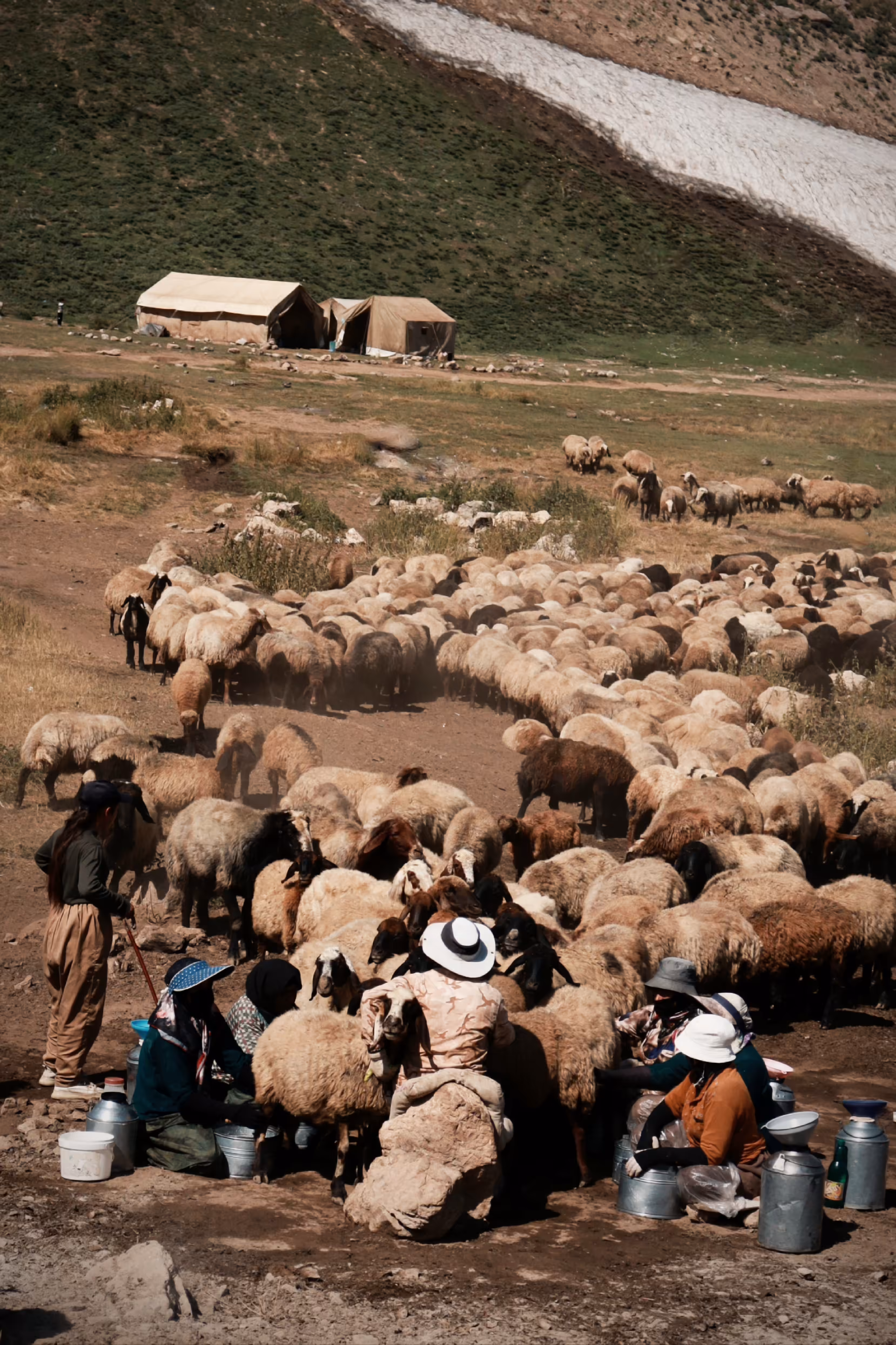 Rancher family