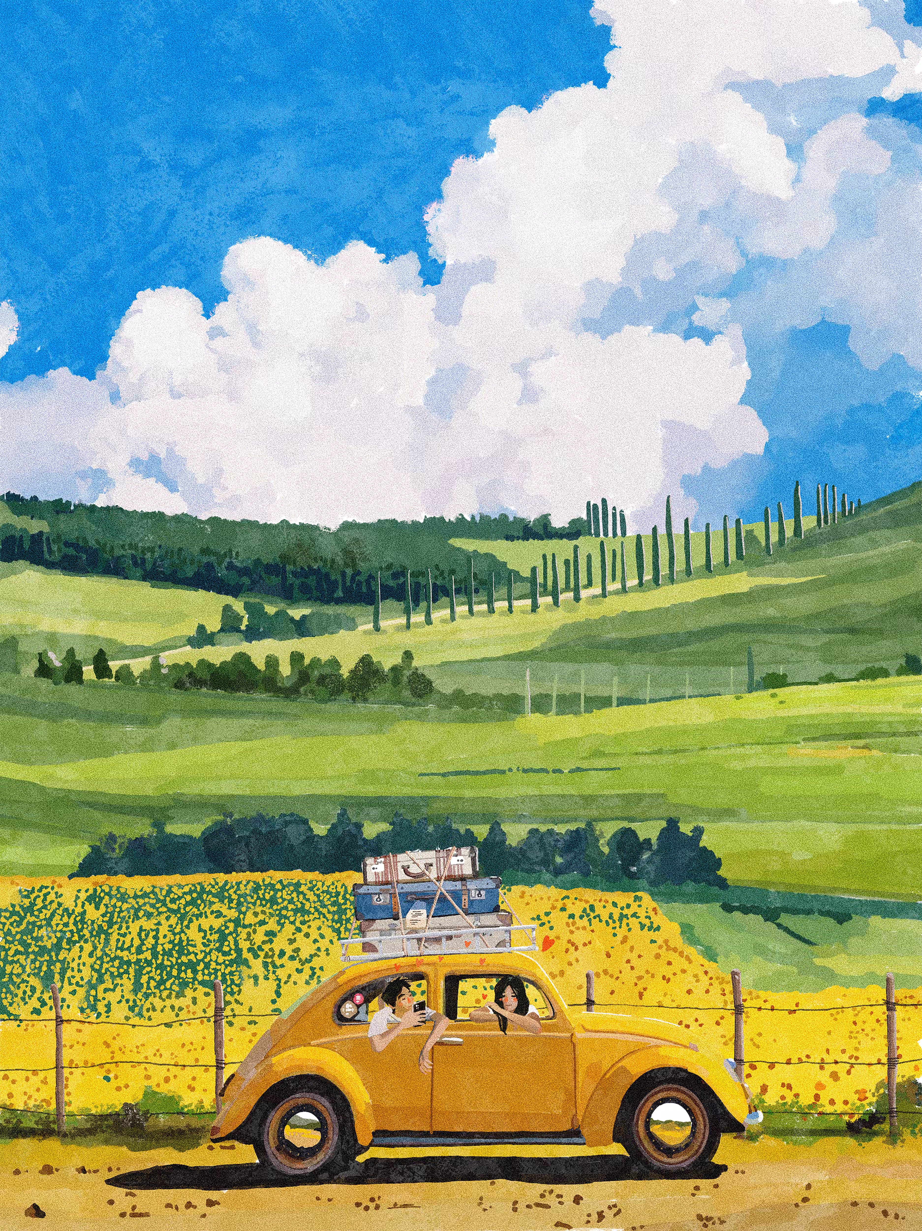 STEP 2: THE SUNFLOWER FIELD