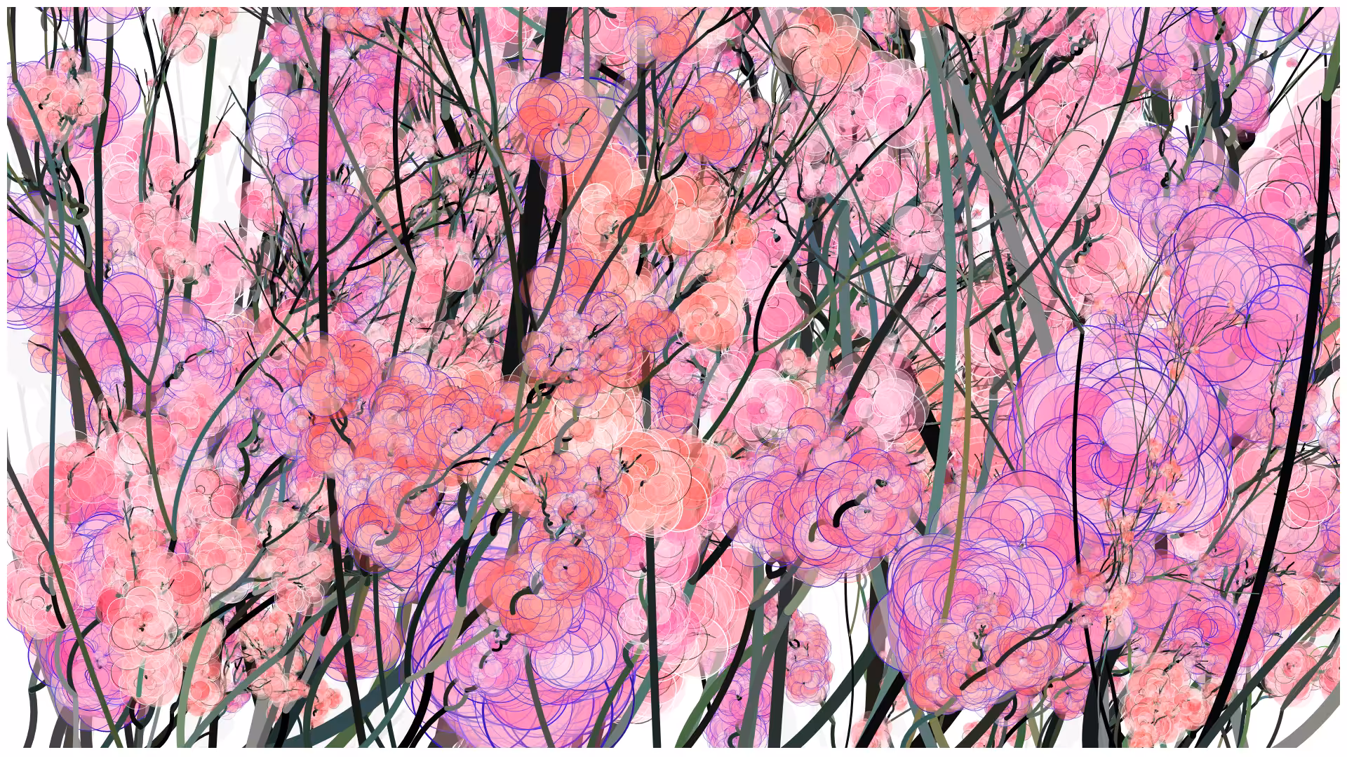 CODE-BLOSSOM #77