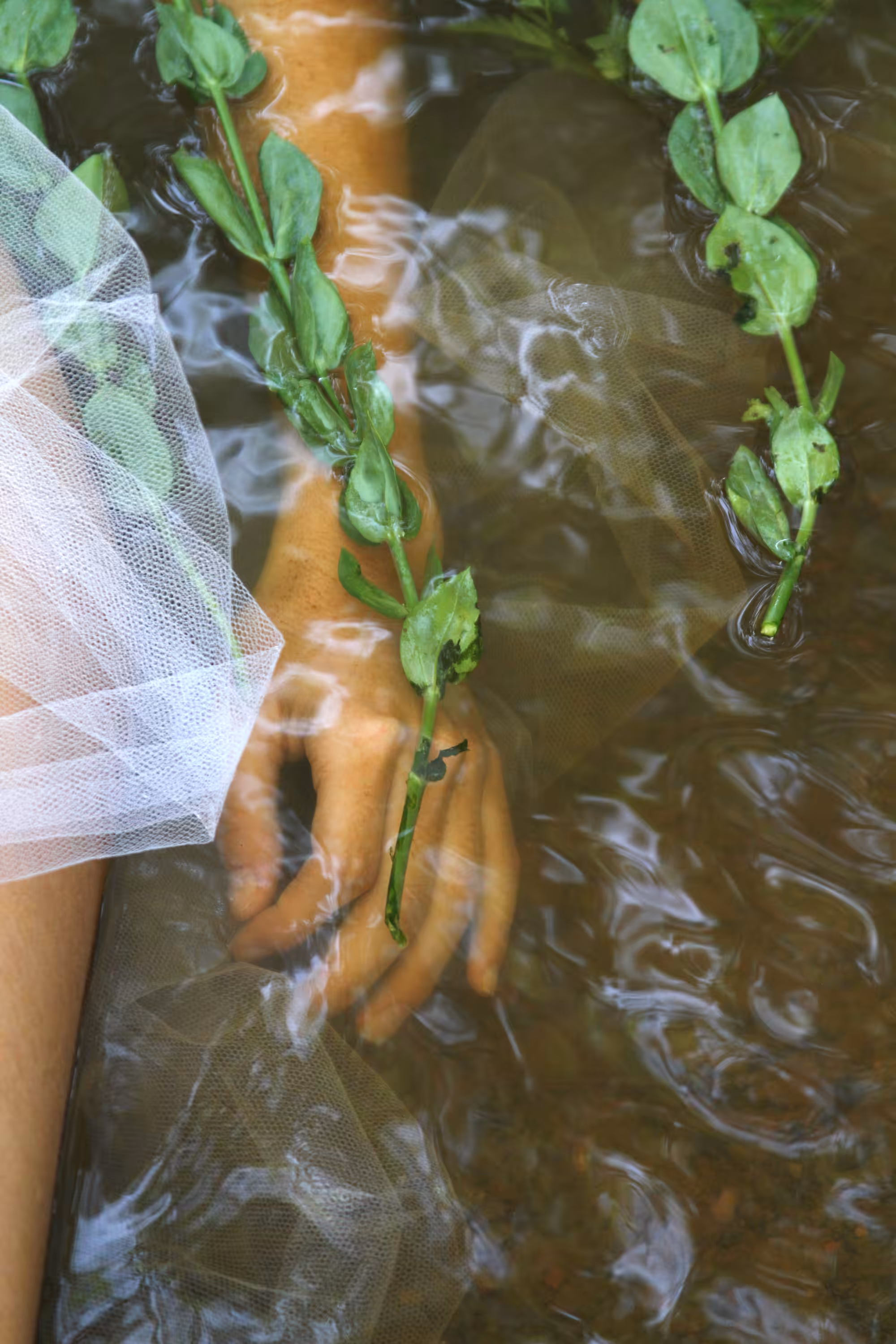 Jardim Secreto #6