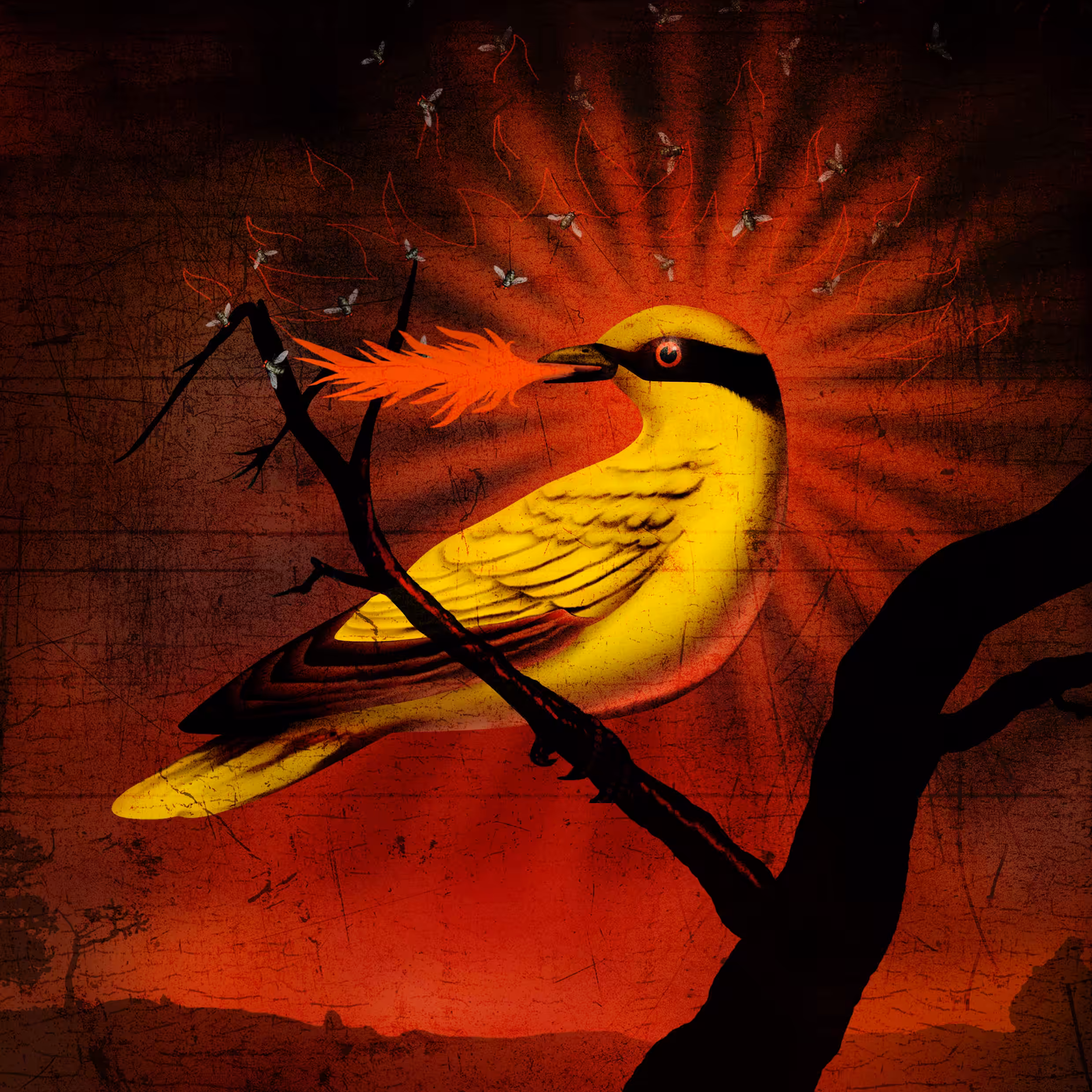 Nightingale