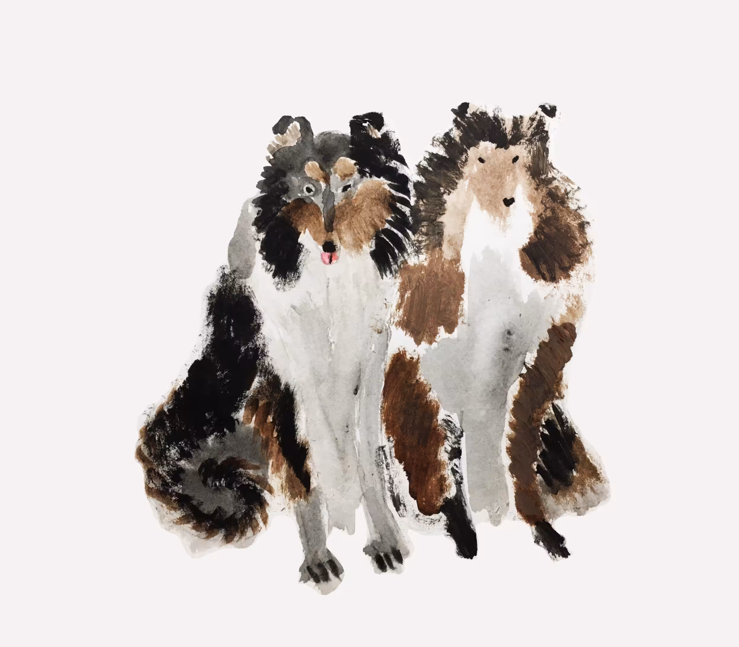 Two collies 