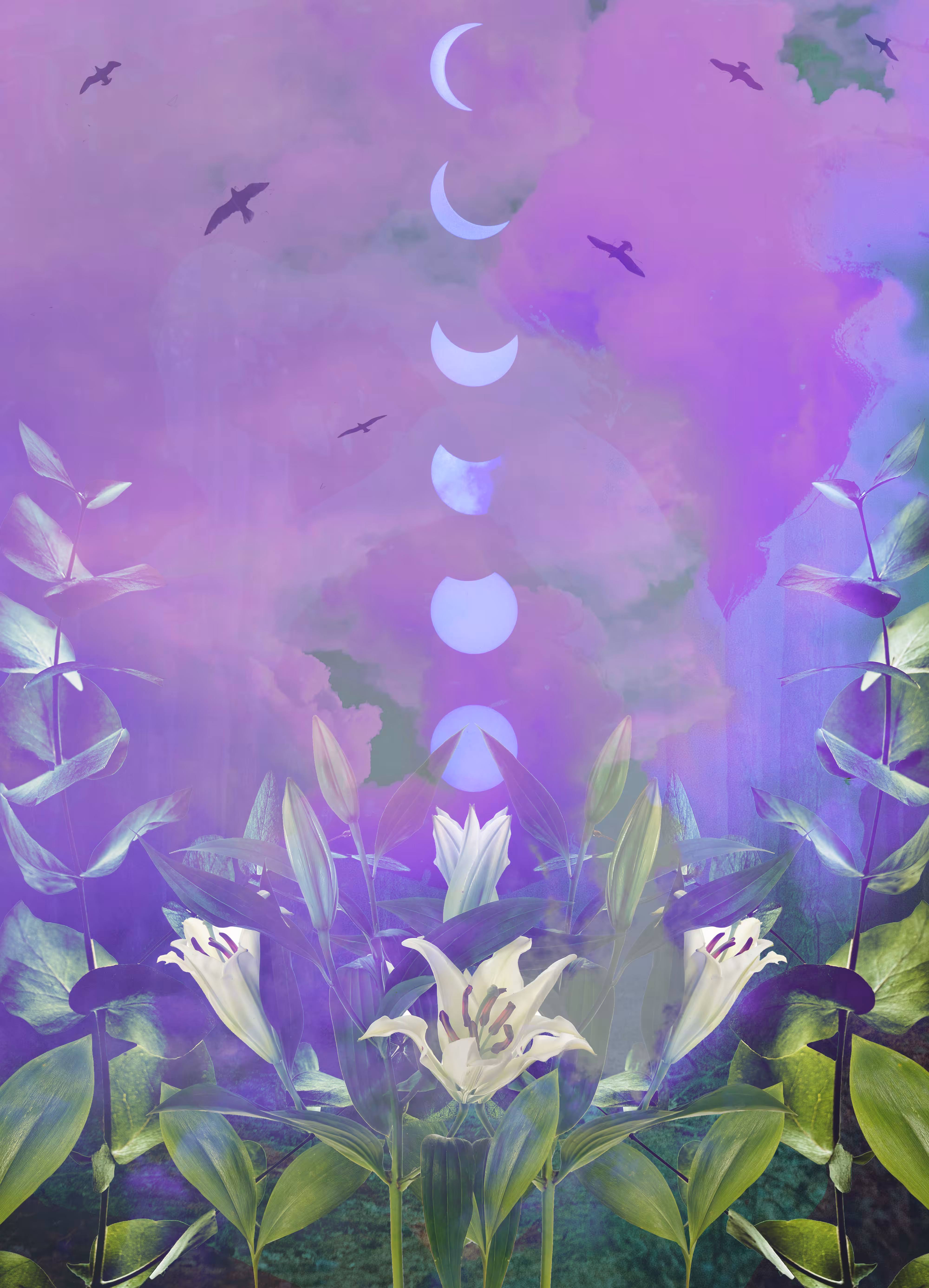 New Earth