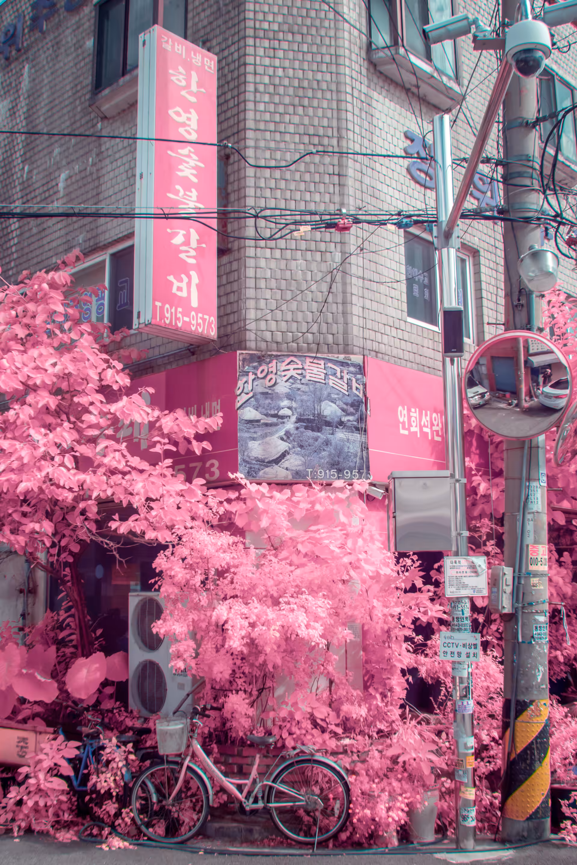 MomentsAsia365: Moments #1033