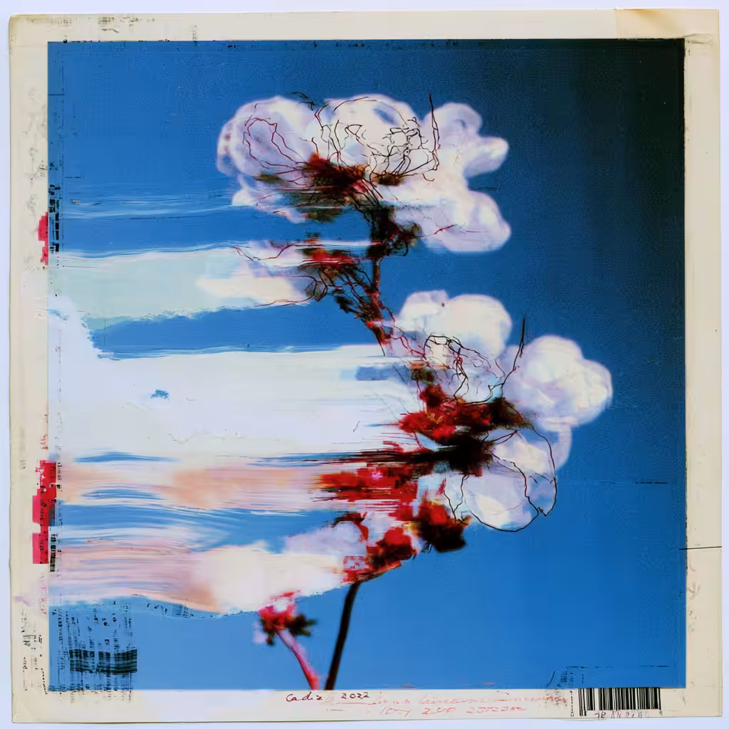 HBA.010 - SPECIMEN IN VELOCITY