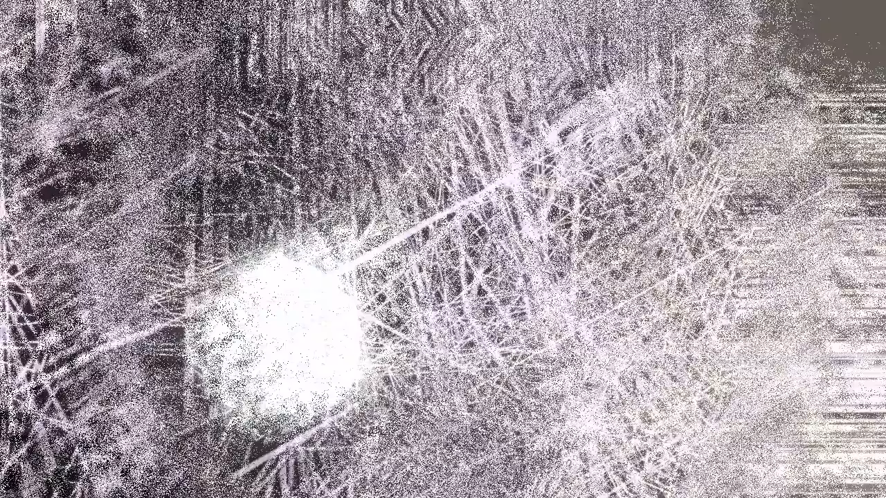 Noise