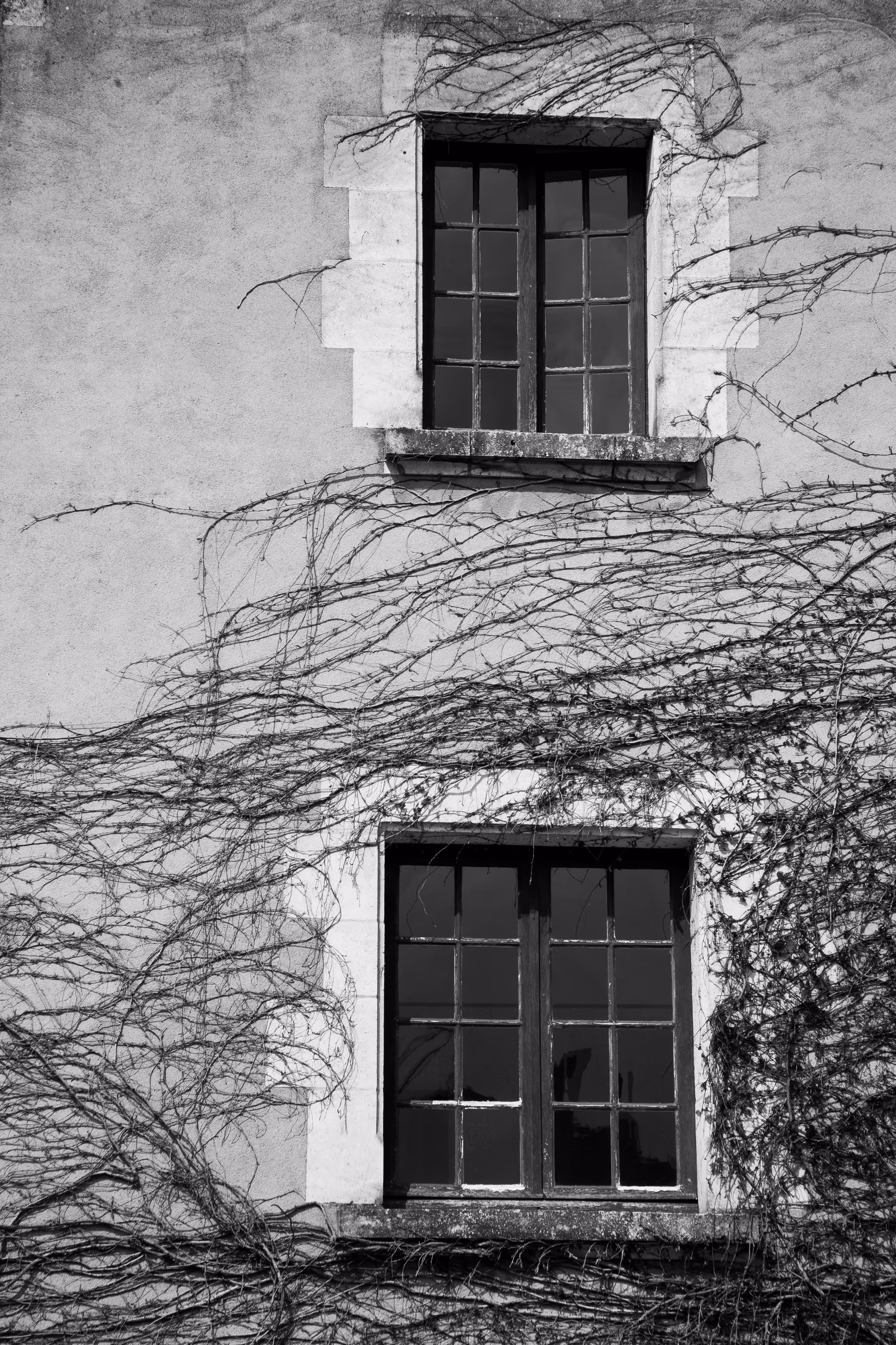 Window Ajar
