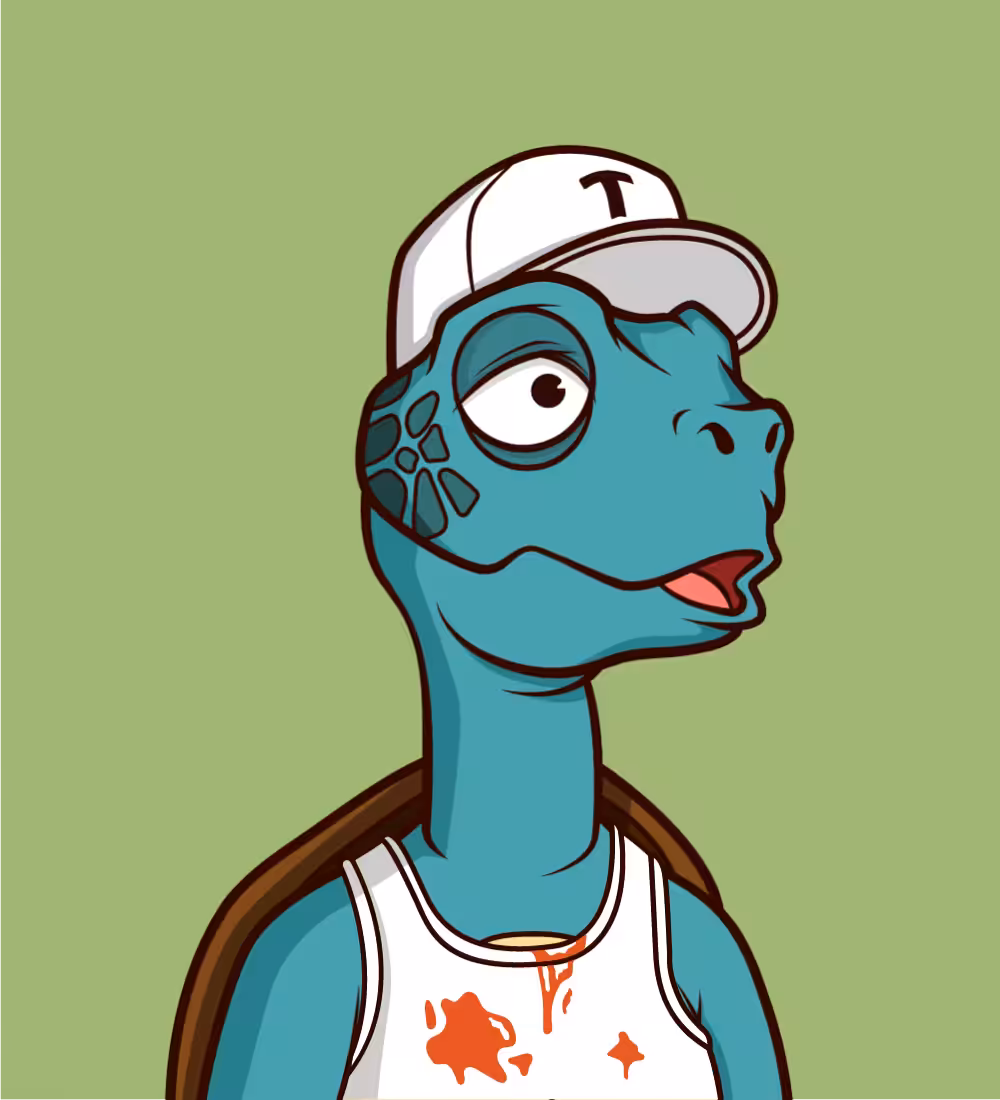 Tiny Turtle 145